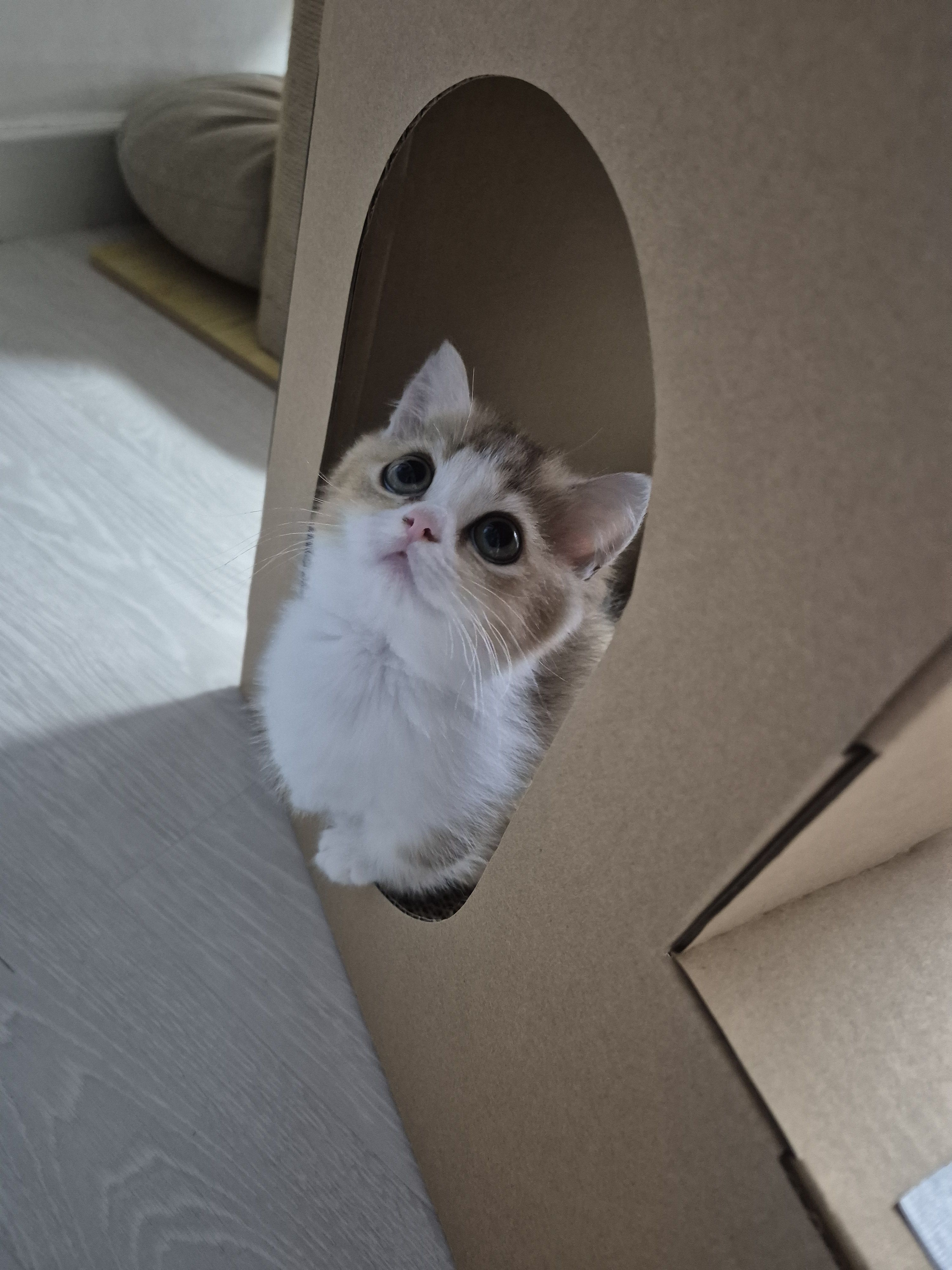 베스트 후기 이미지