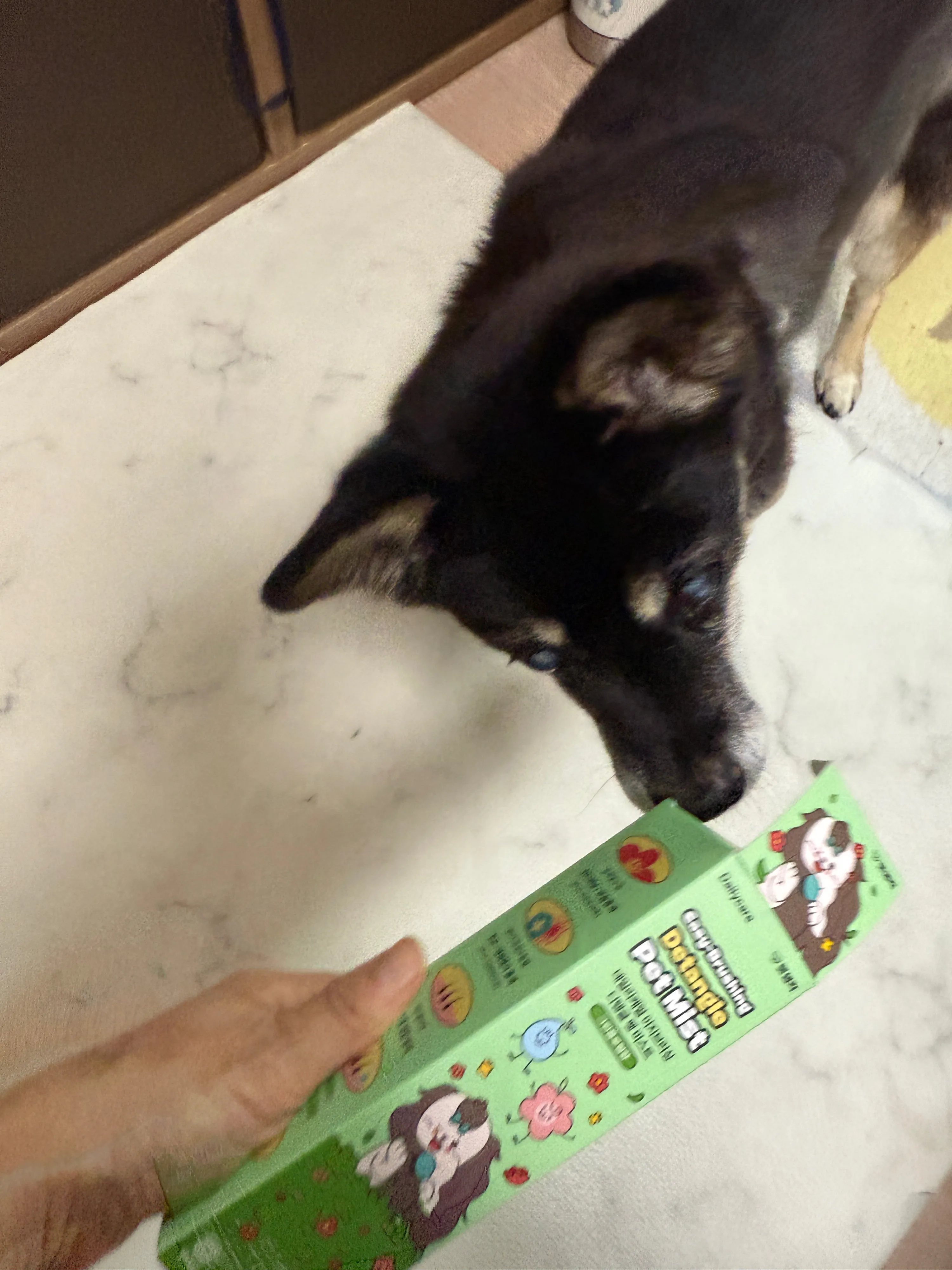 베스트 후기 이미지