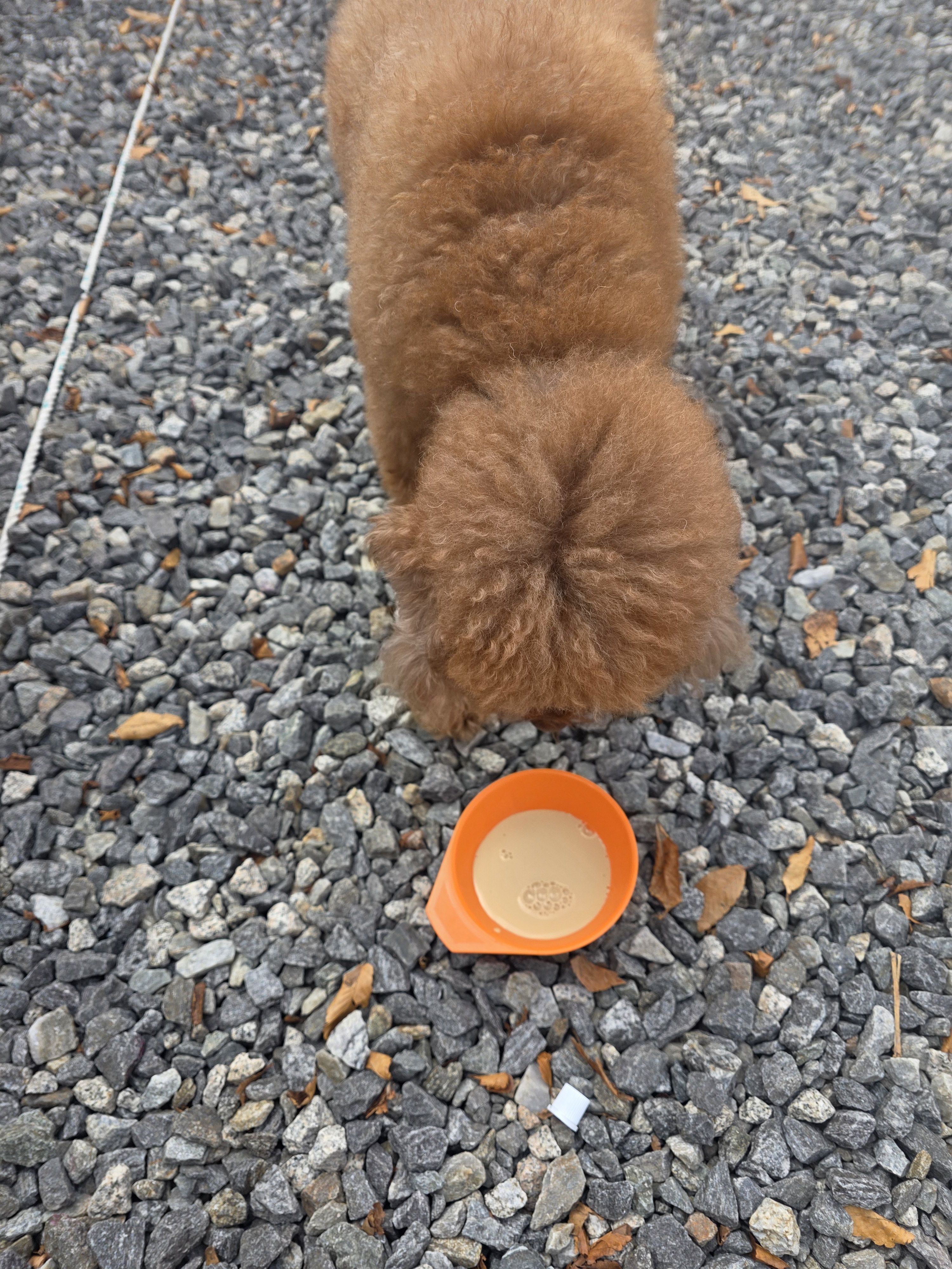 베스트 후기 이미지