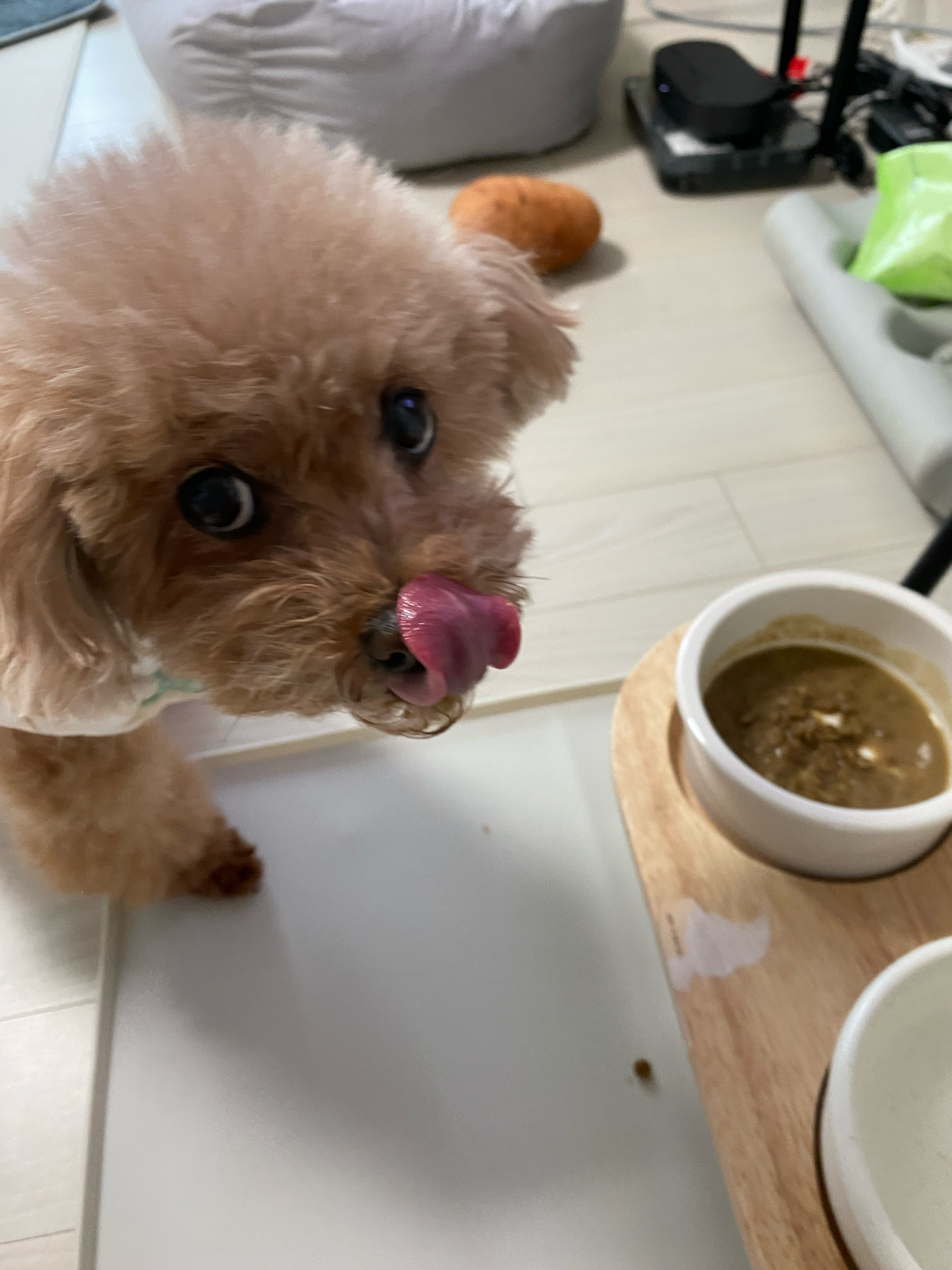 베스트 후기 이미지