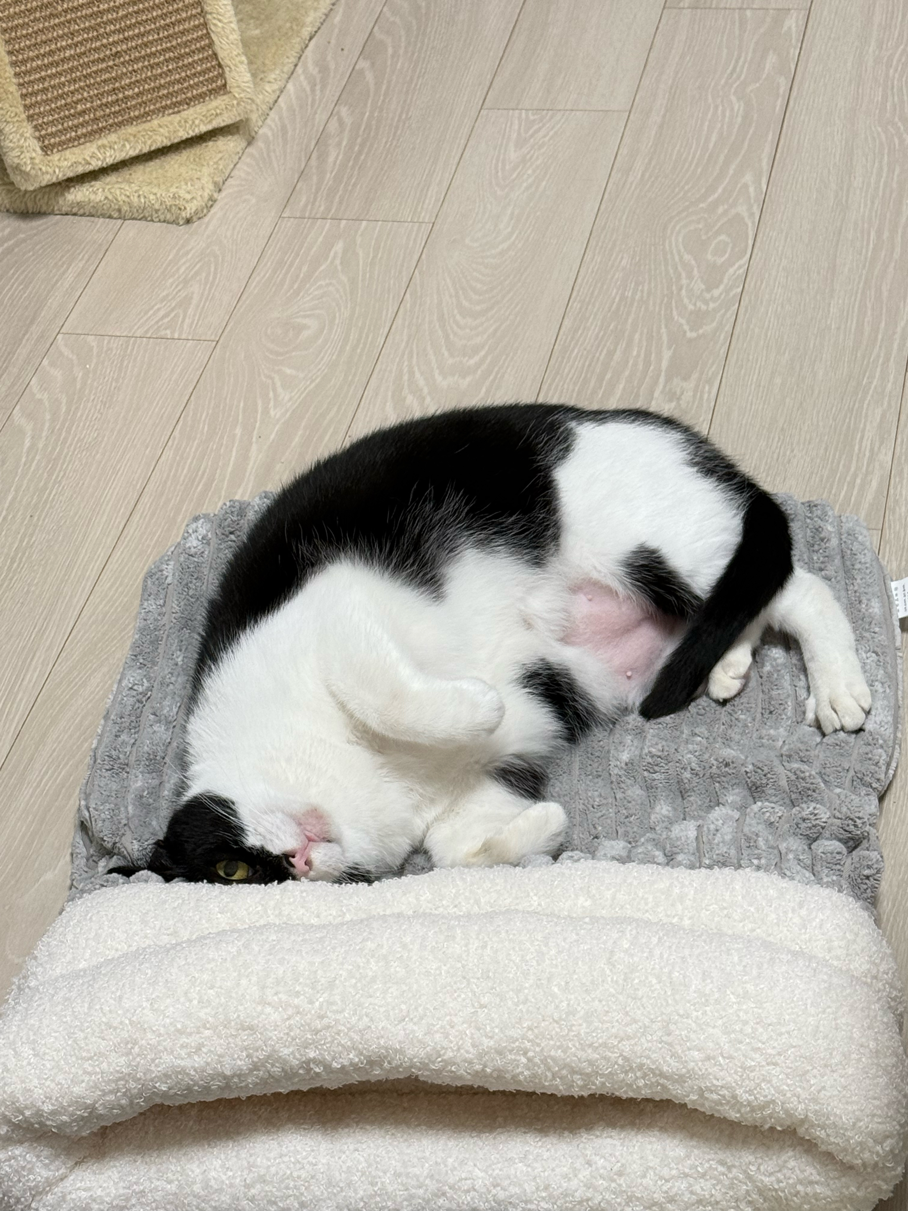 베스트 후기 이미지