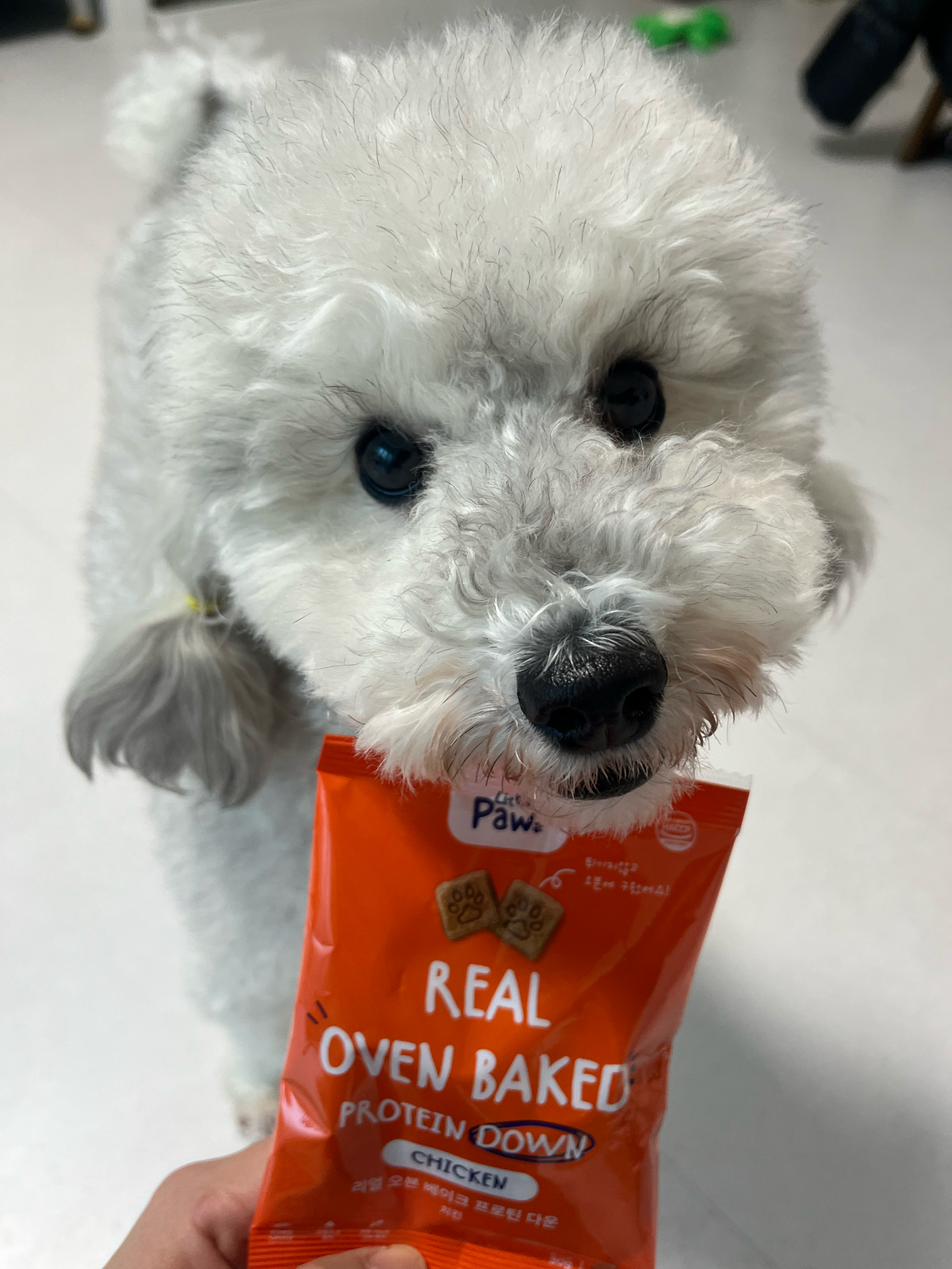 베스트 후기 이미지