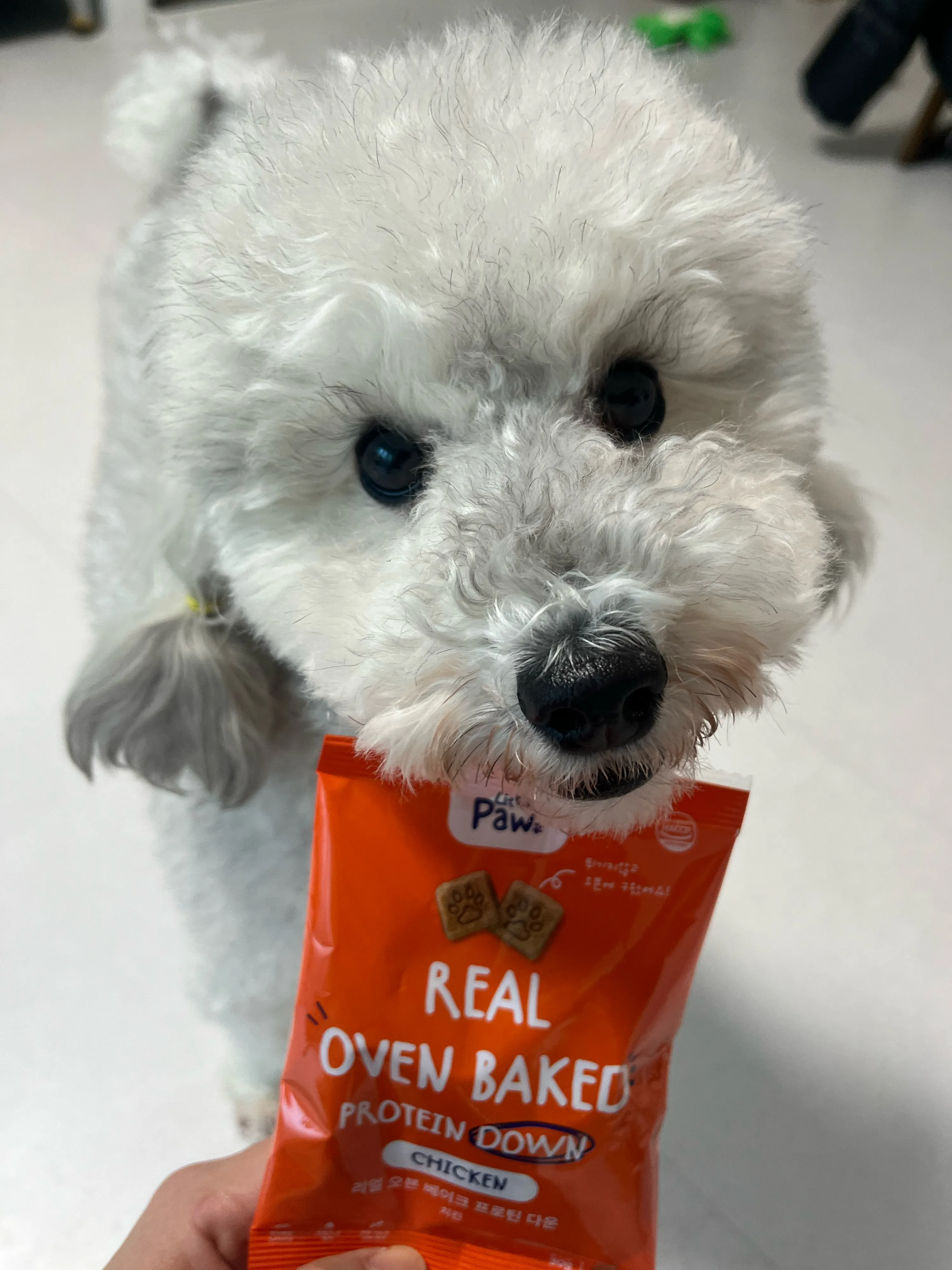 베스트 후기 이미지