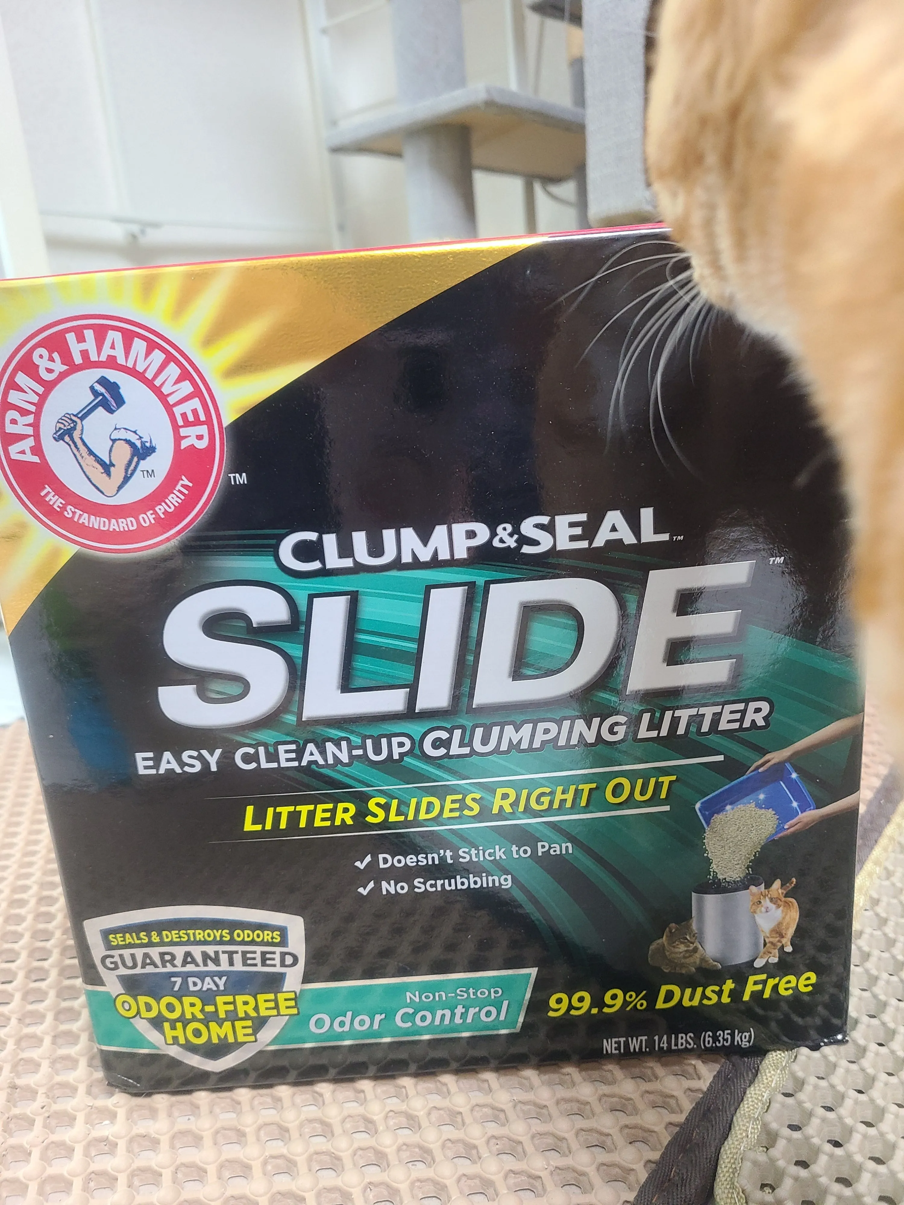 베스트 후기 이미지