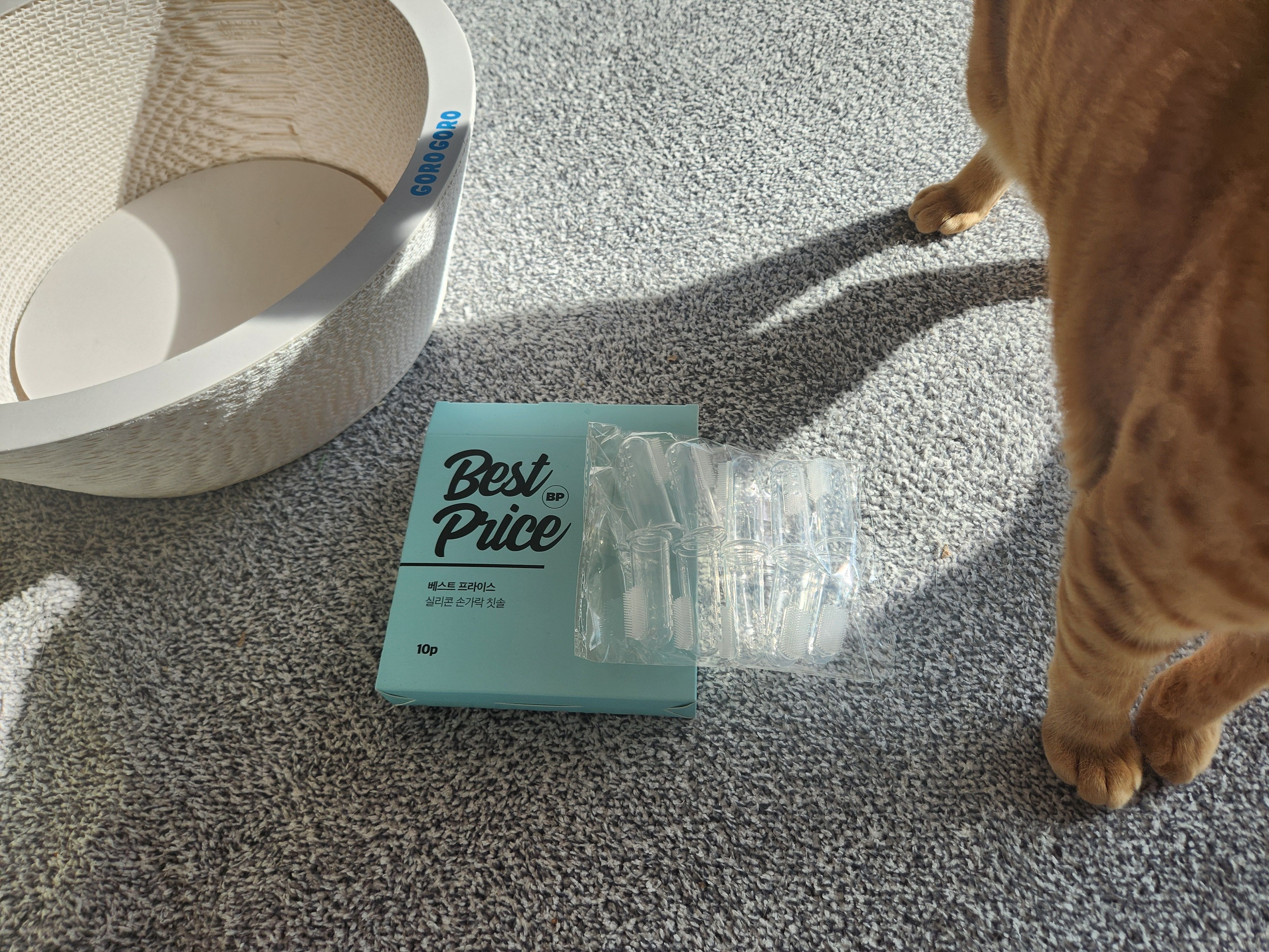 베스트 후기 이미지