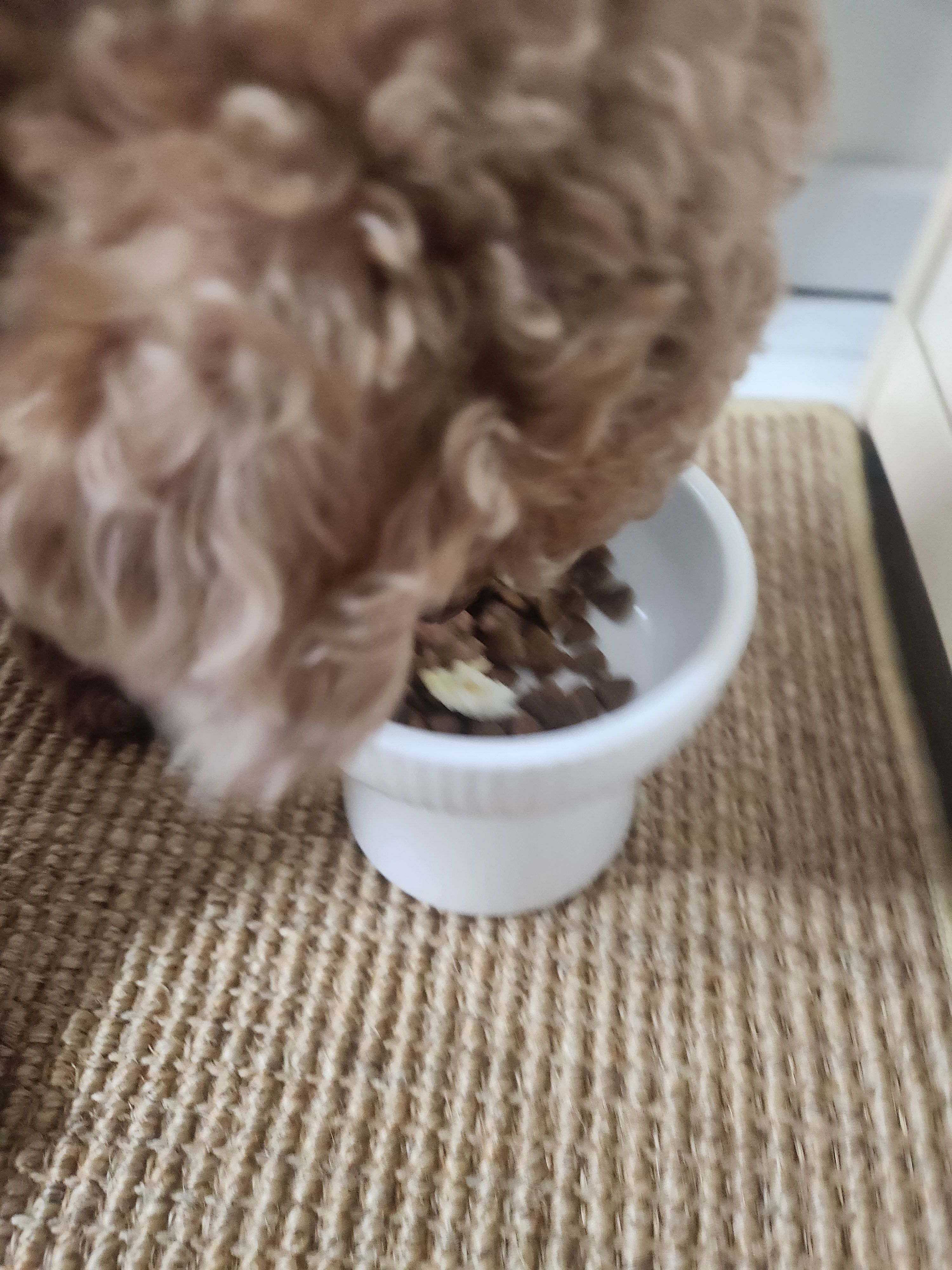 베스트 후기 이미지