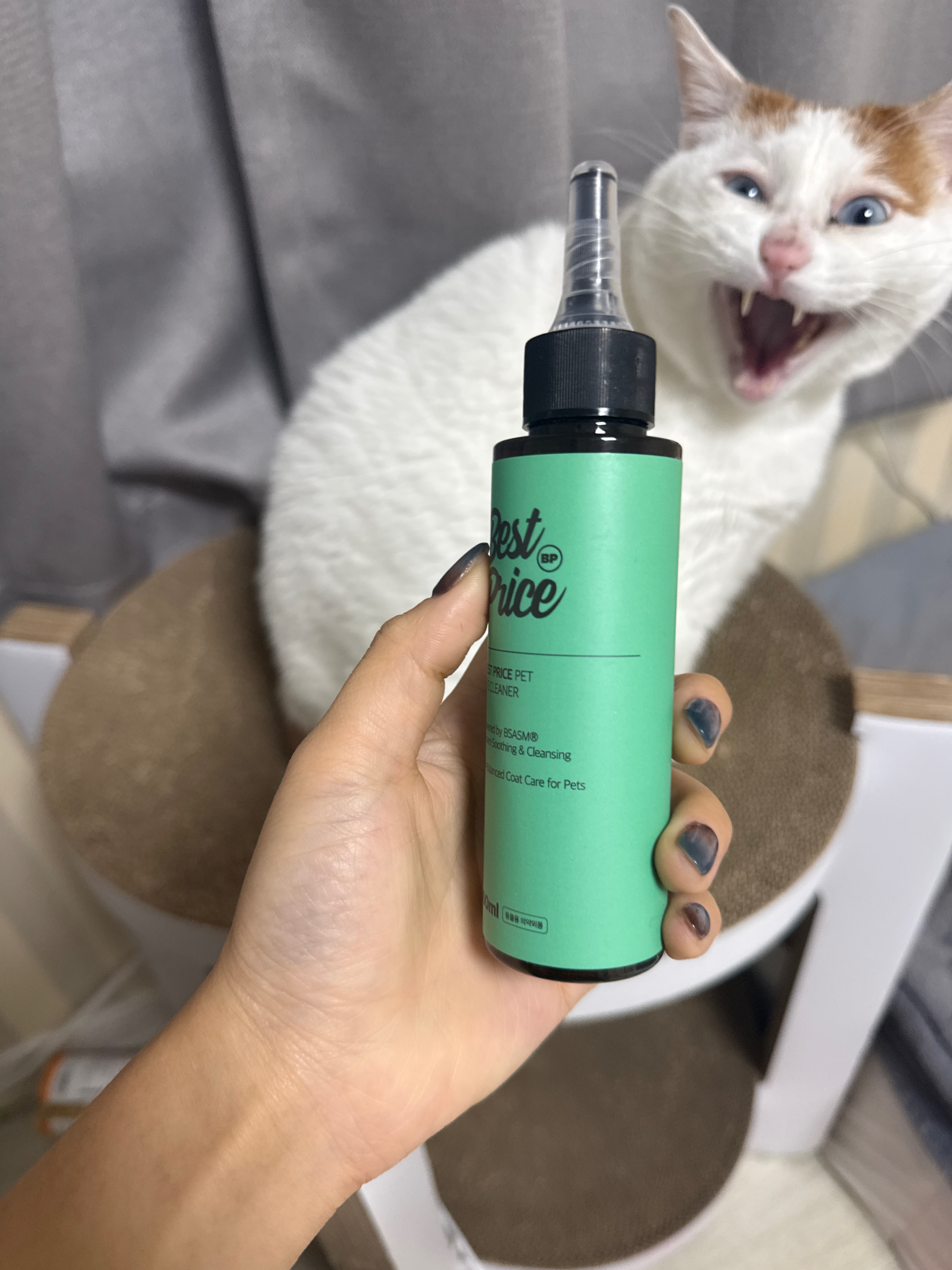 베스트 후기 이미지