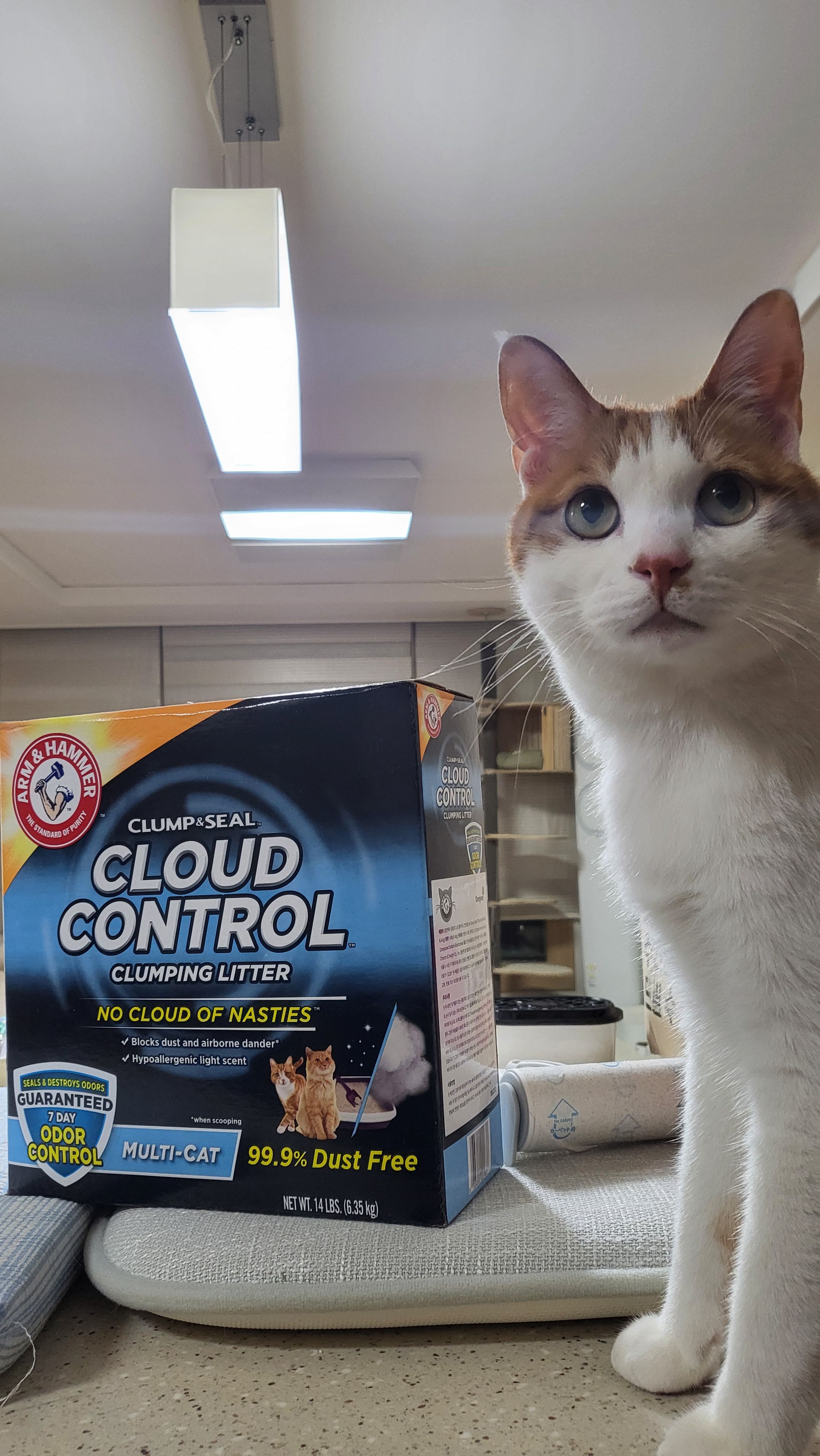 베스트 후기 이미지