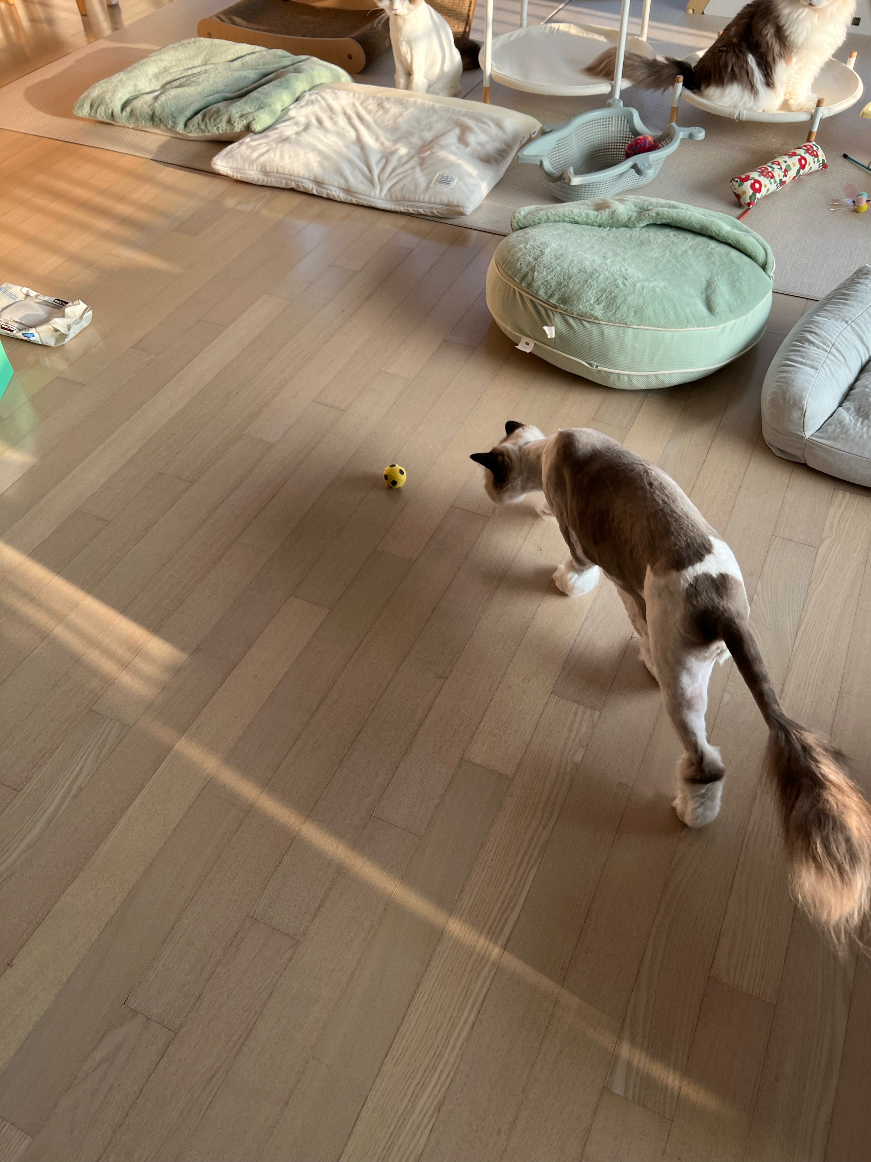 베스트 후기 이미지