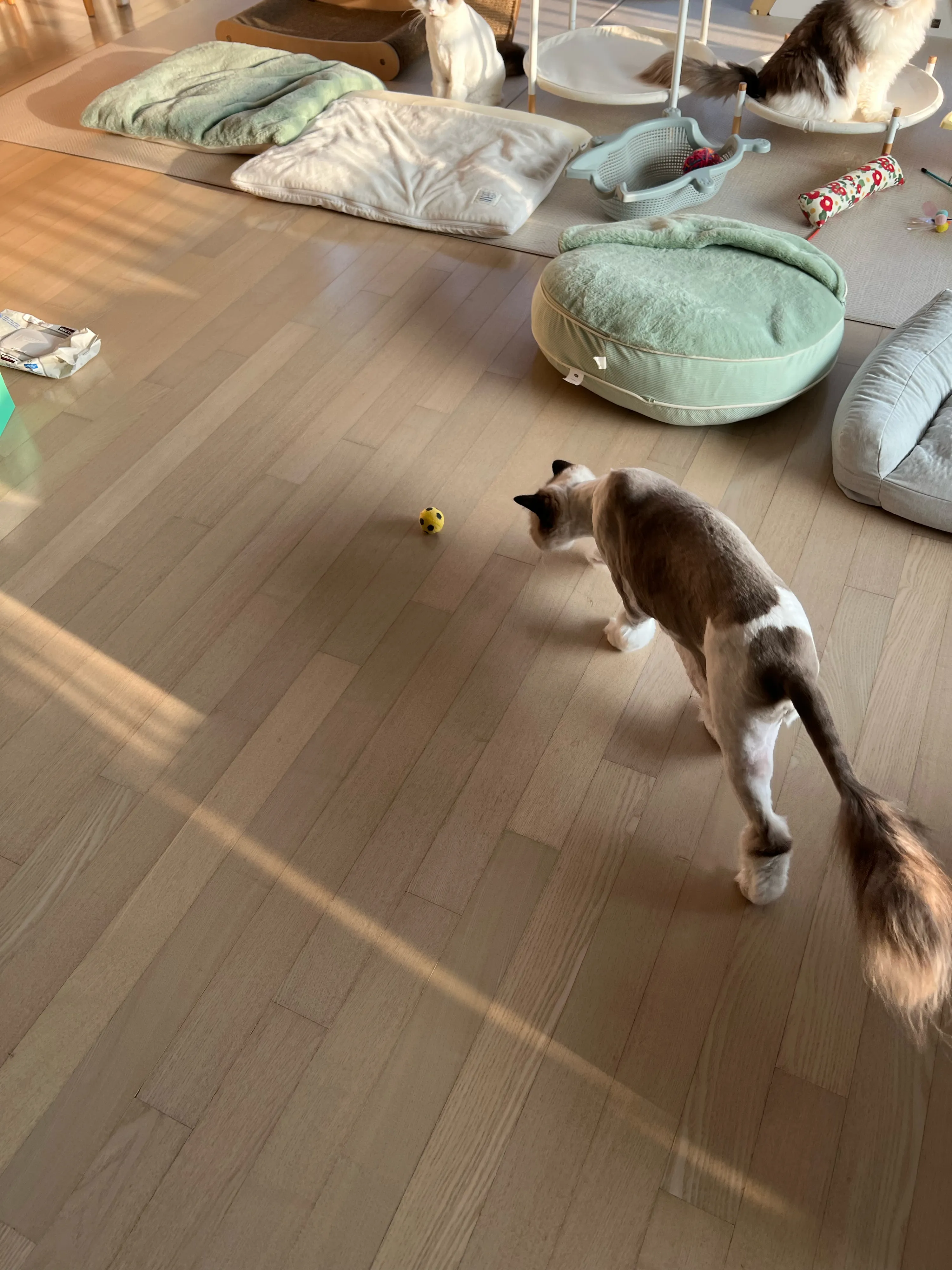 베스트 후기 이미지