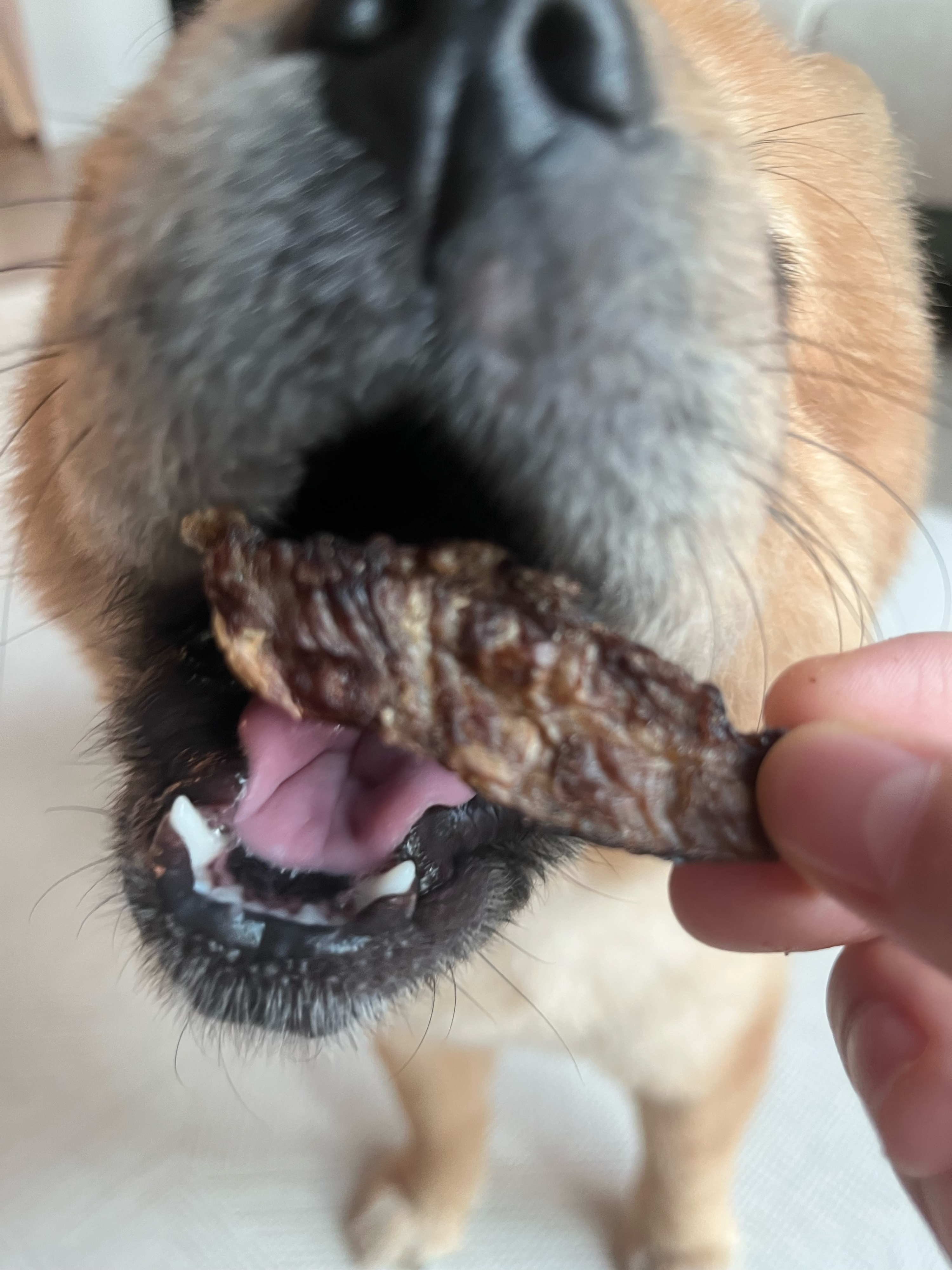 베스트 후기 이미지