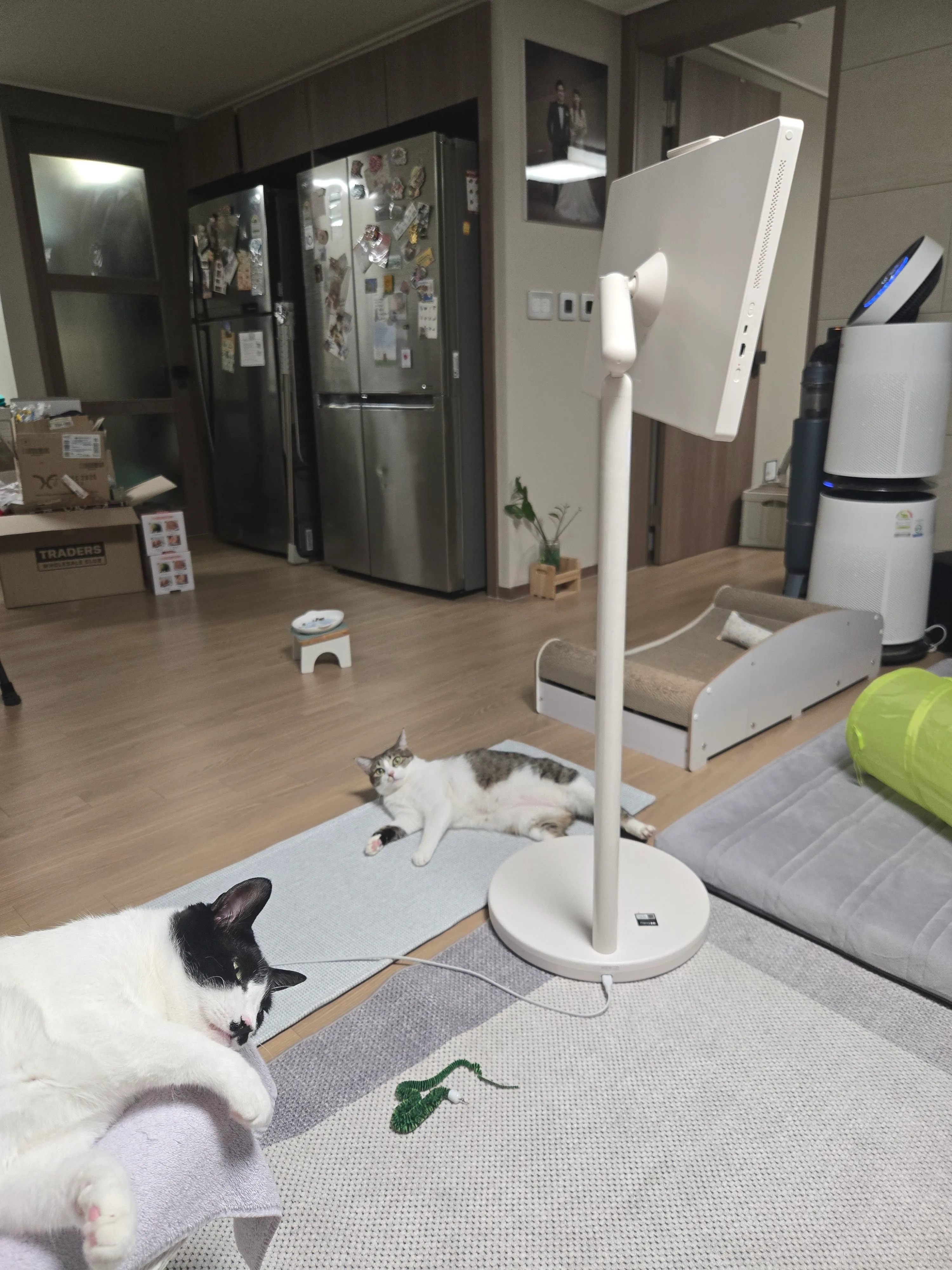 베스트 후기 이미지