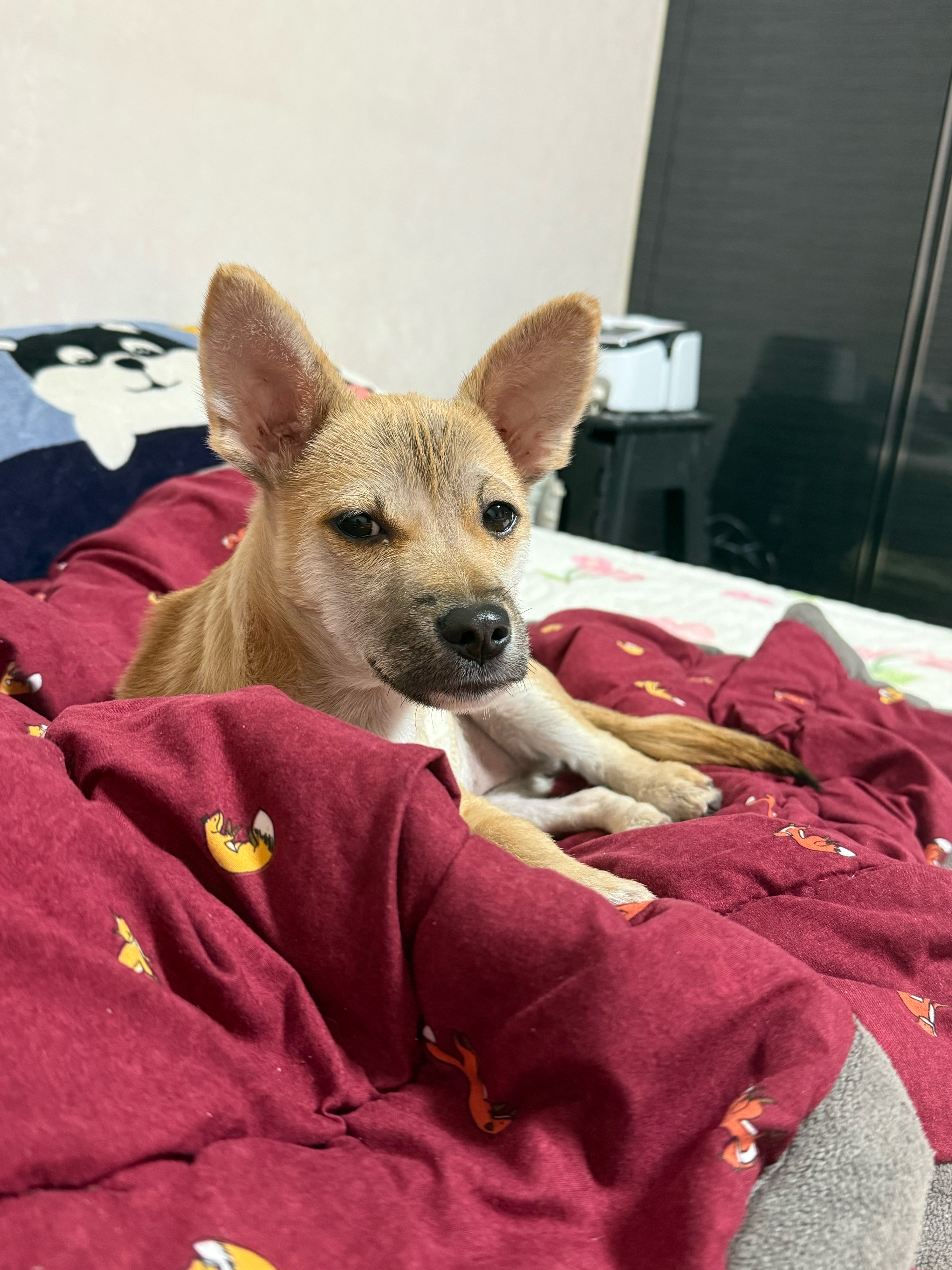 베스트 후기 이미지