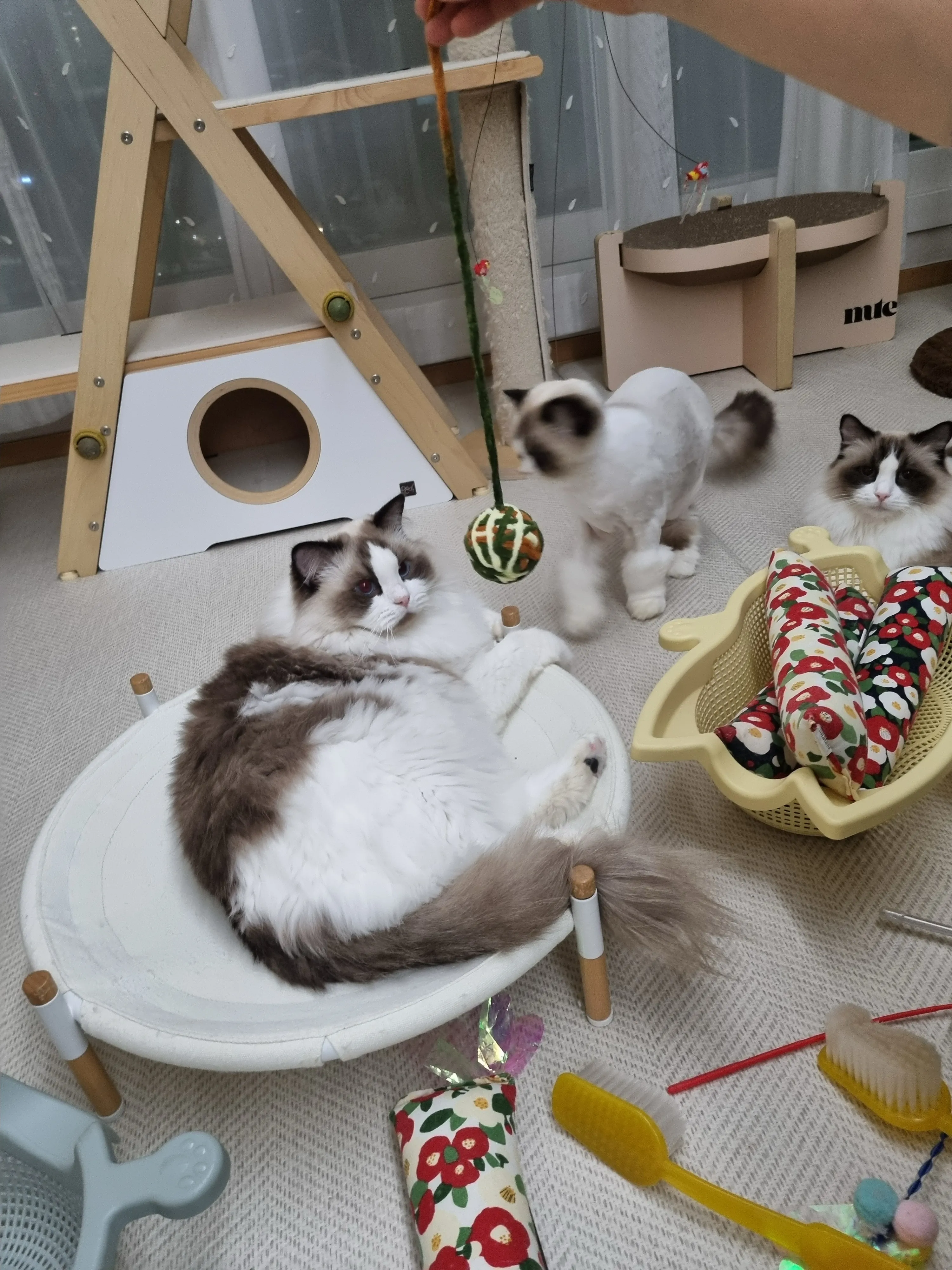 베스트 후기 이미지