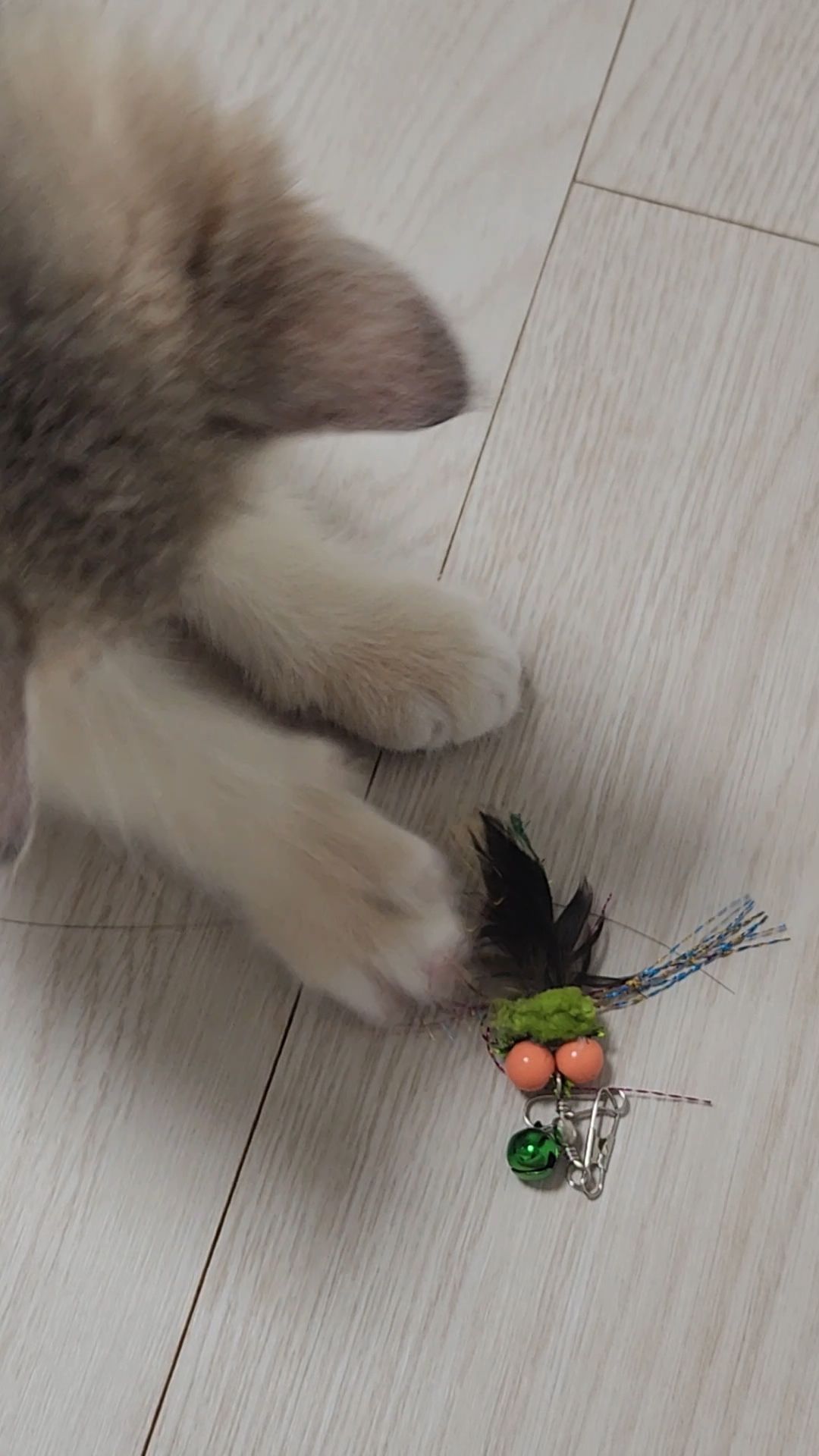 베스트 후기 이미지