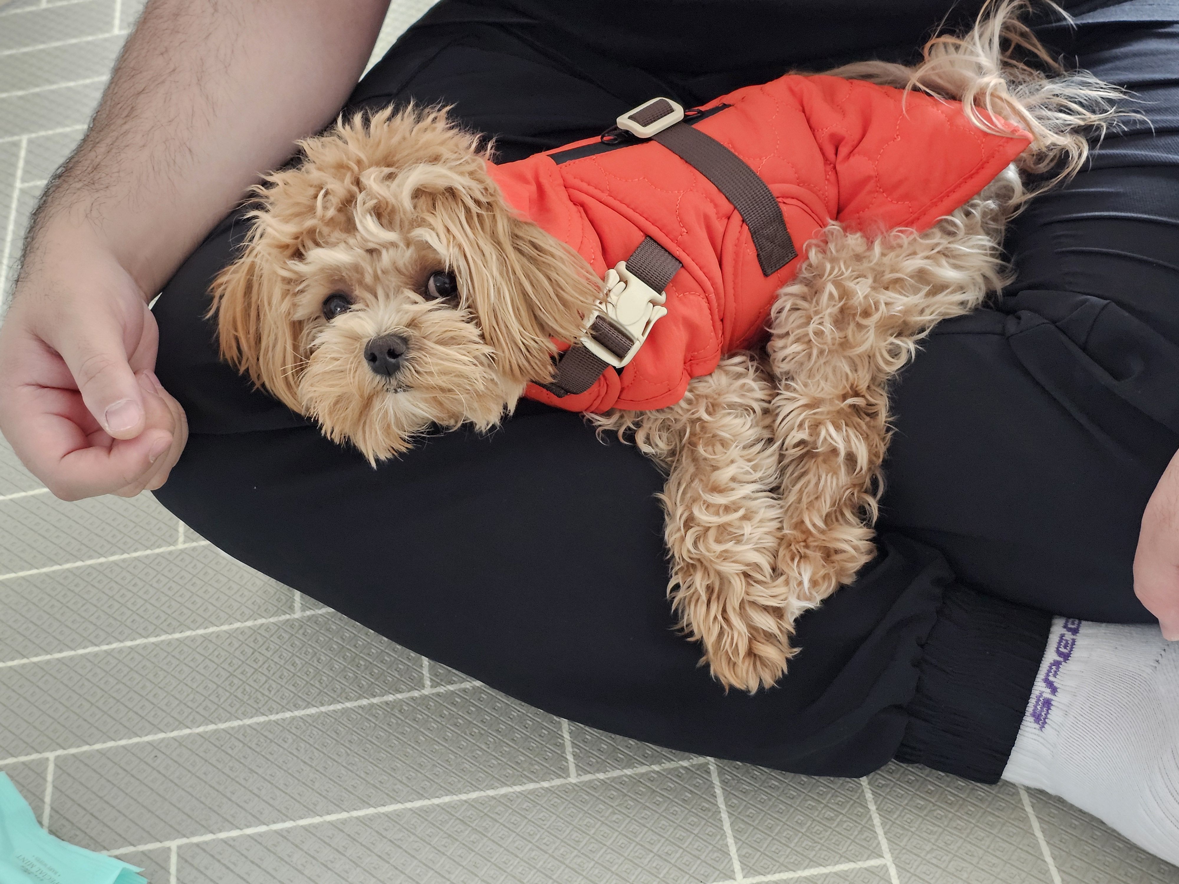 베스트 후기 이미지