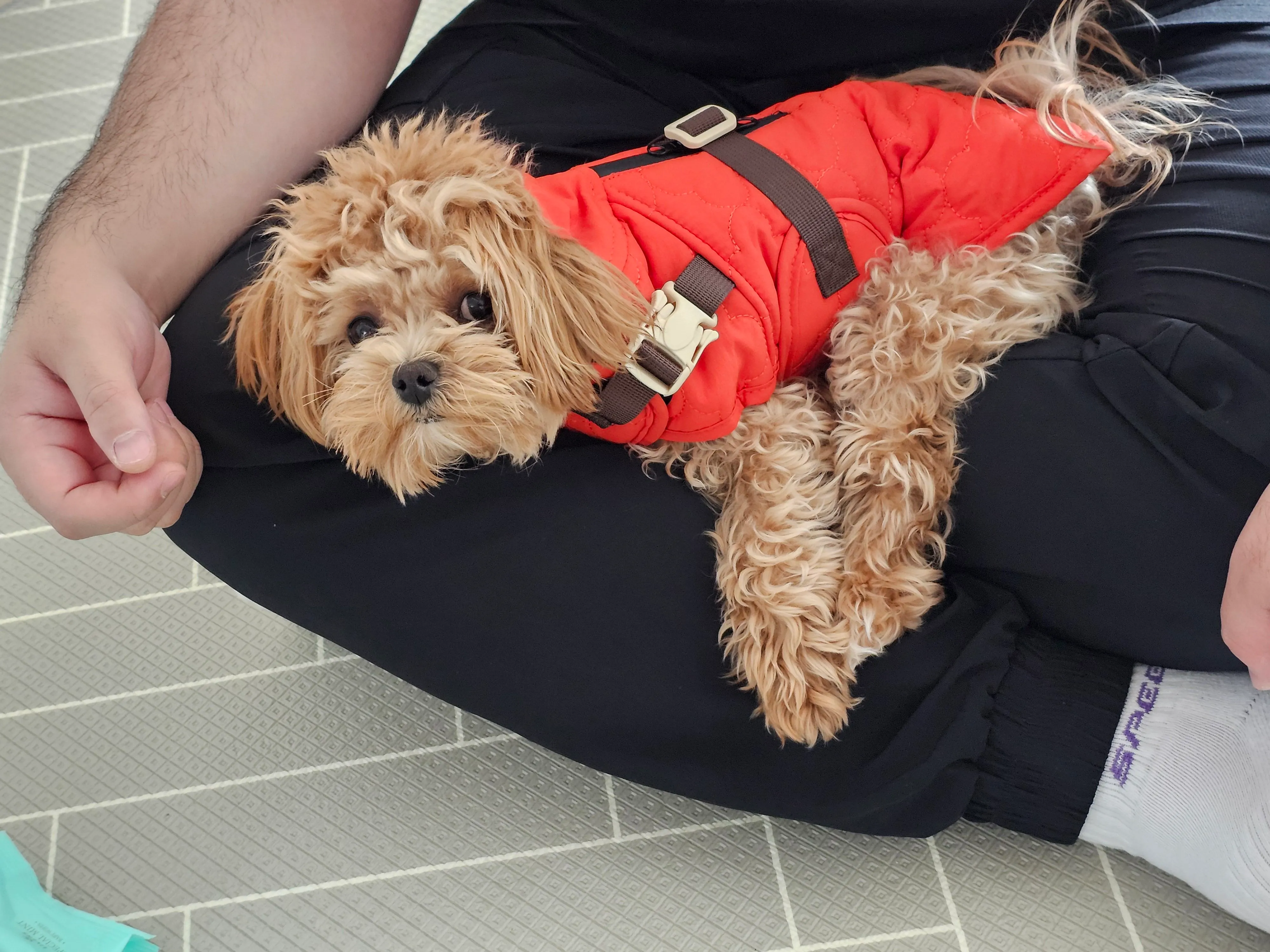 베스트 후기 이미지