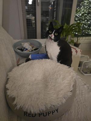 베스트 후기 이미지