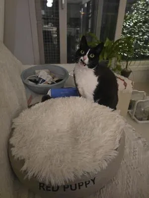 베스트 후기 이미지