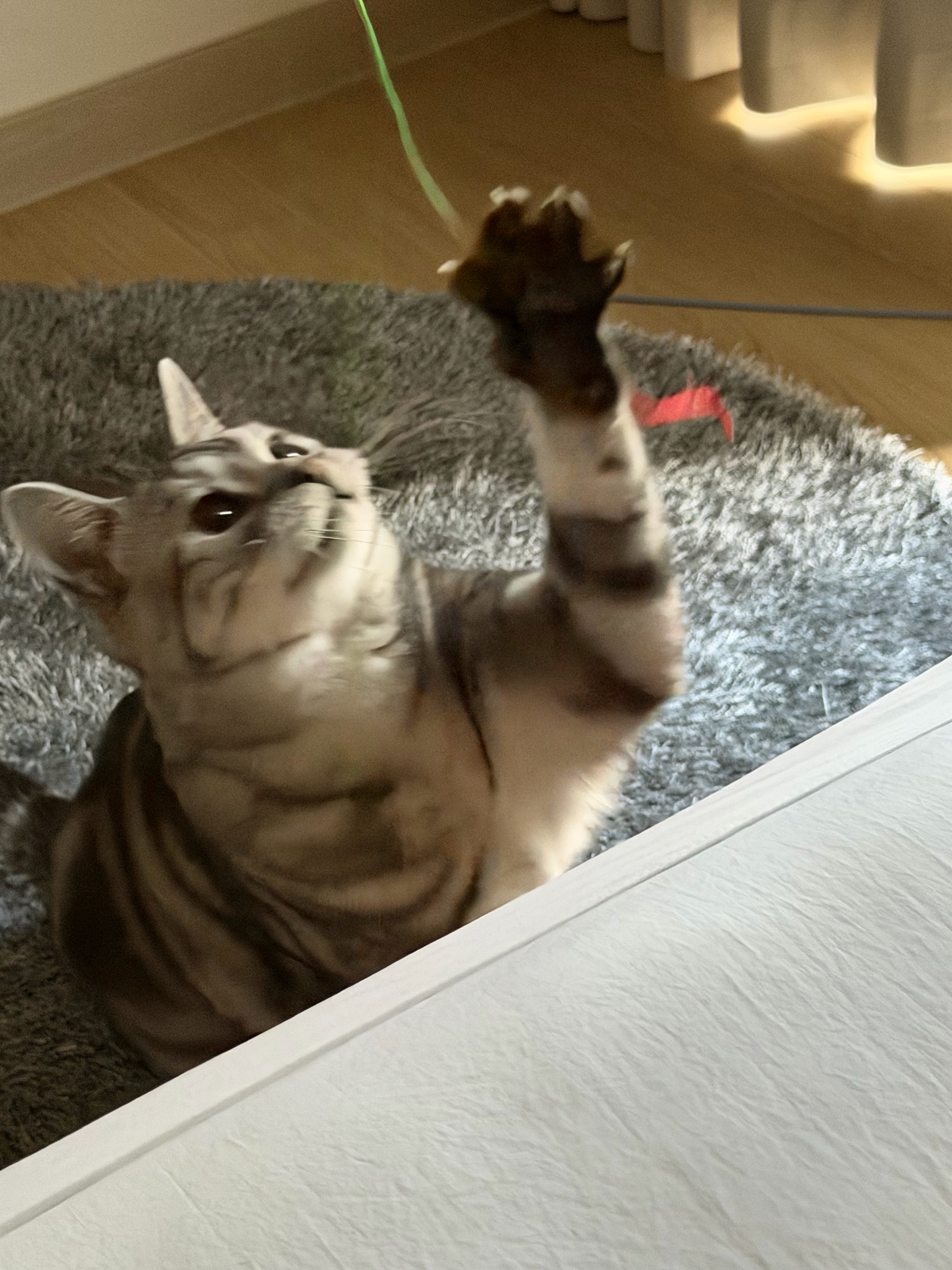 베스트 후기 이미지