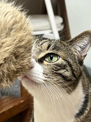 베스트 후기 이미지