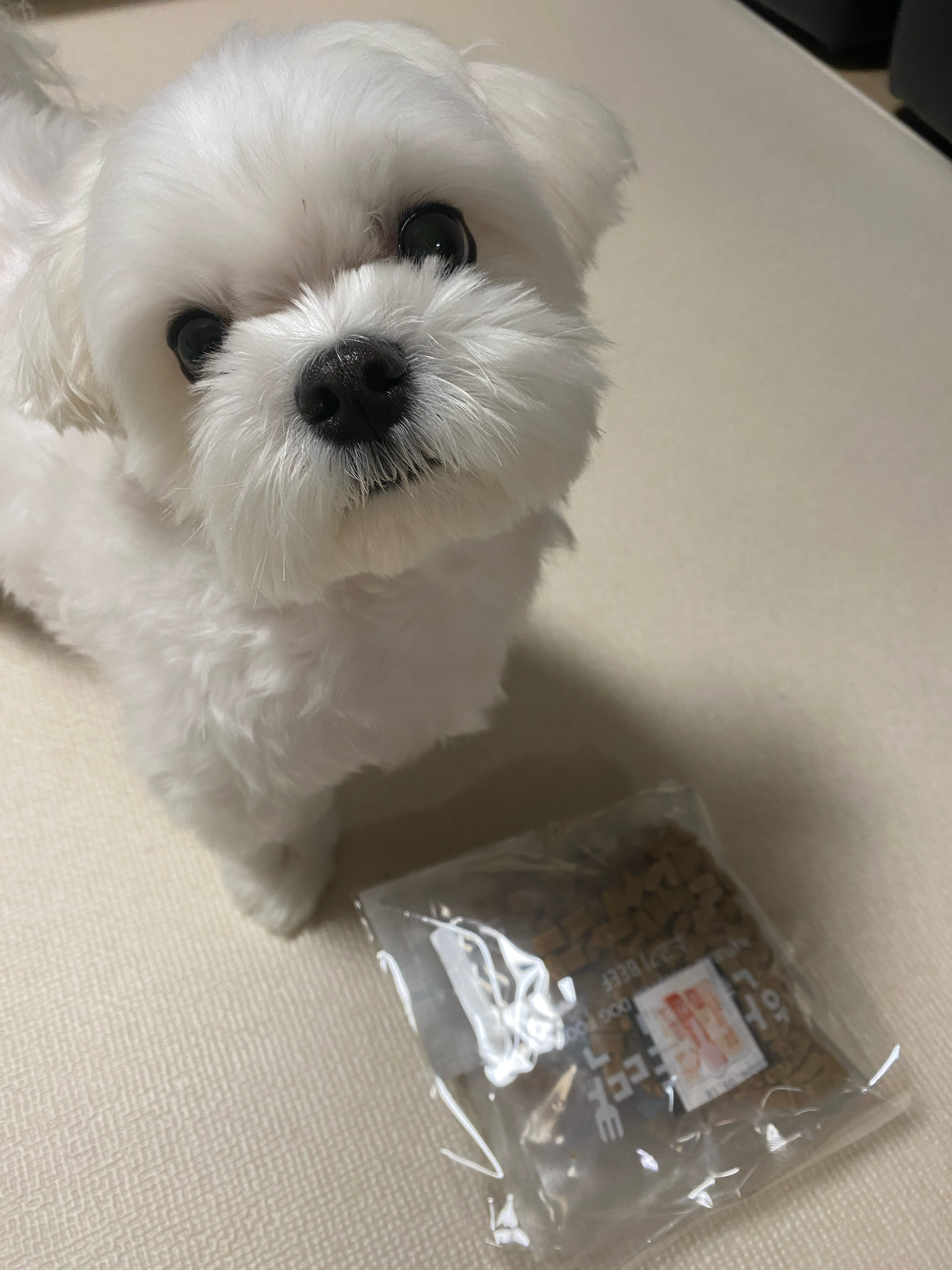 베스트 후기 이미지