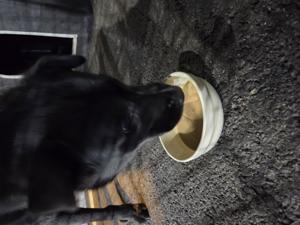 베스트 후기 이미지