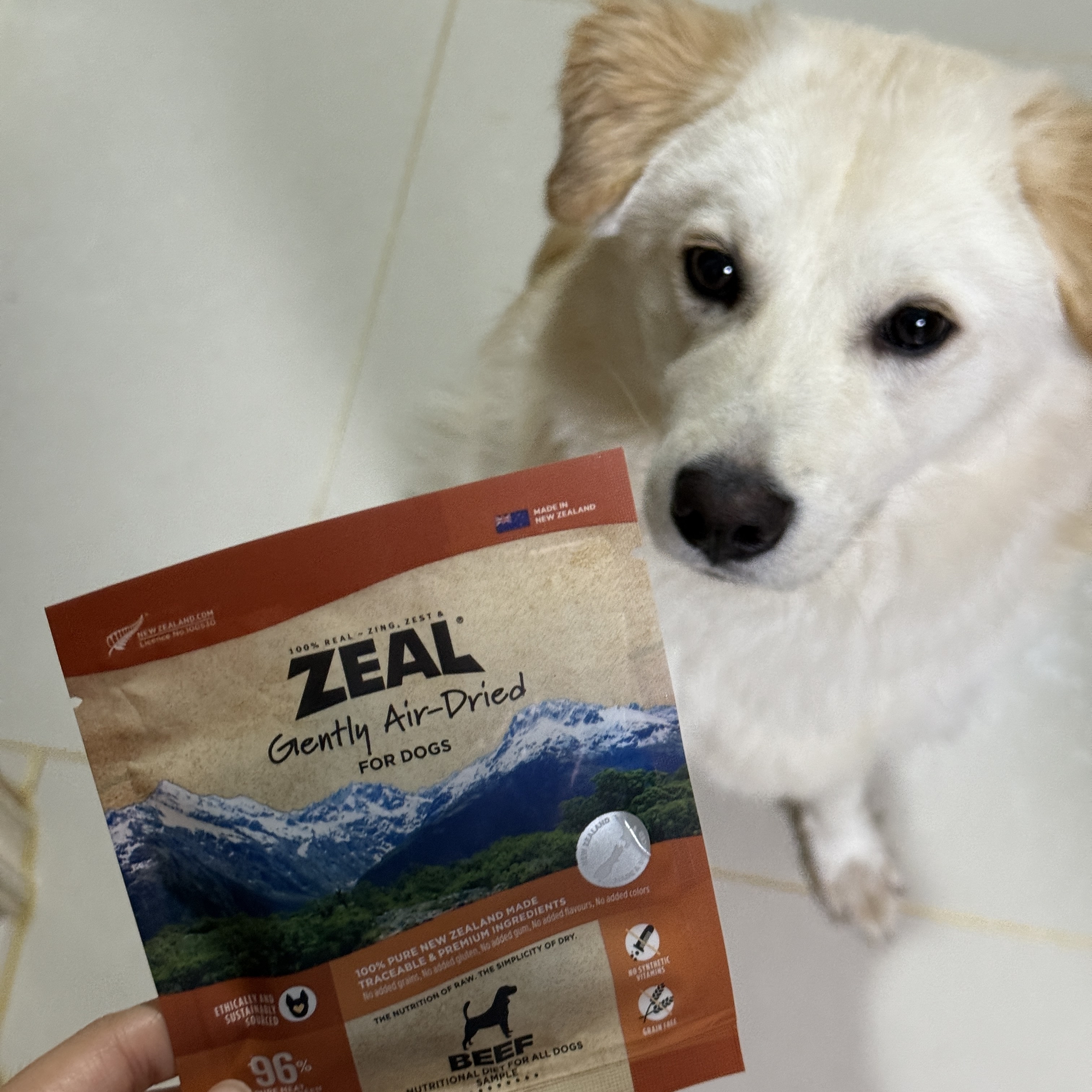 베스트 후기 이미지