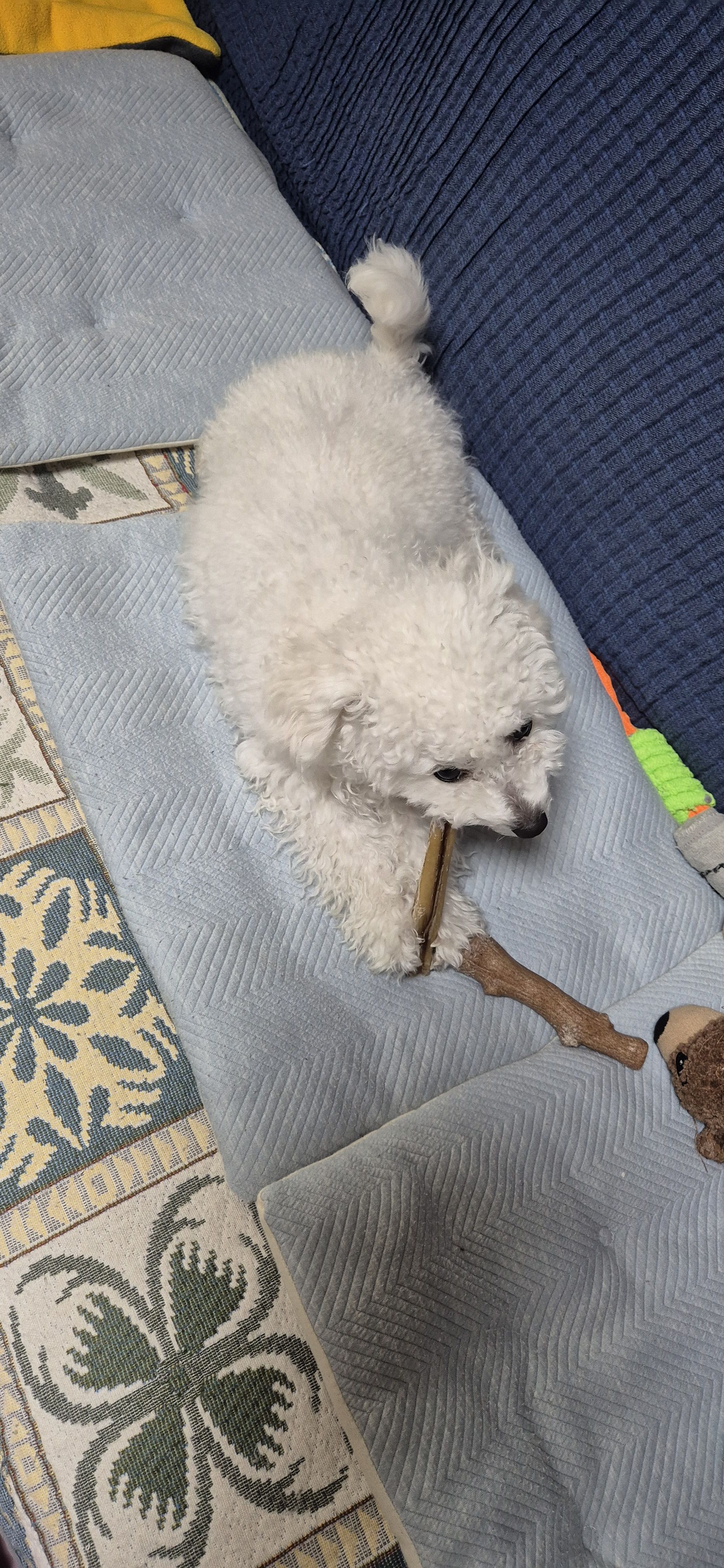 베스트 후기 이미지