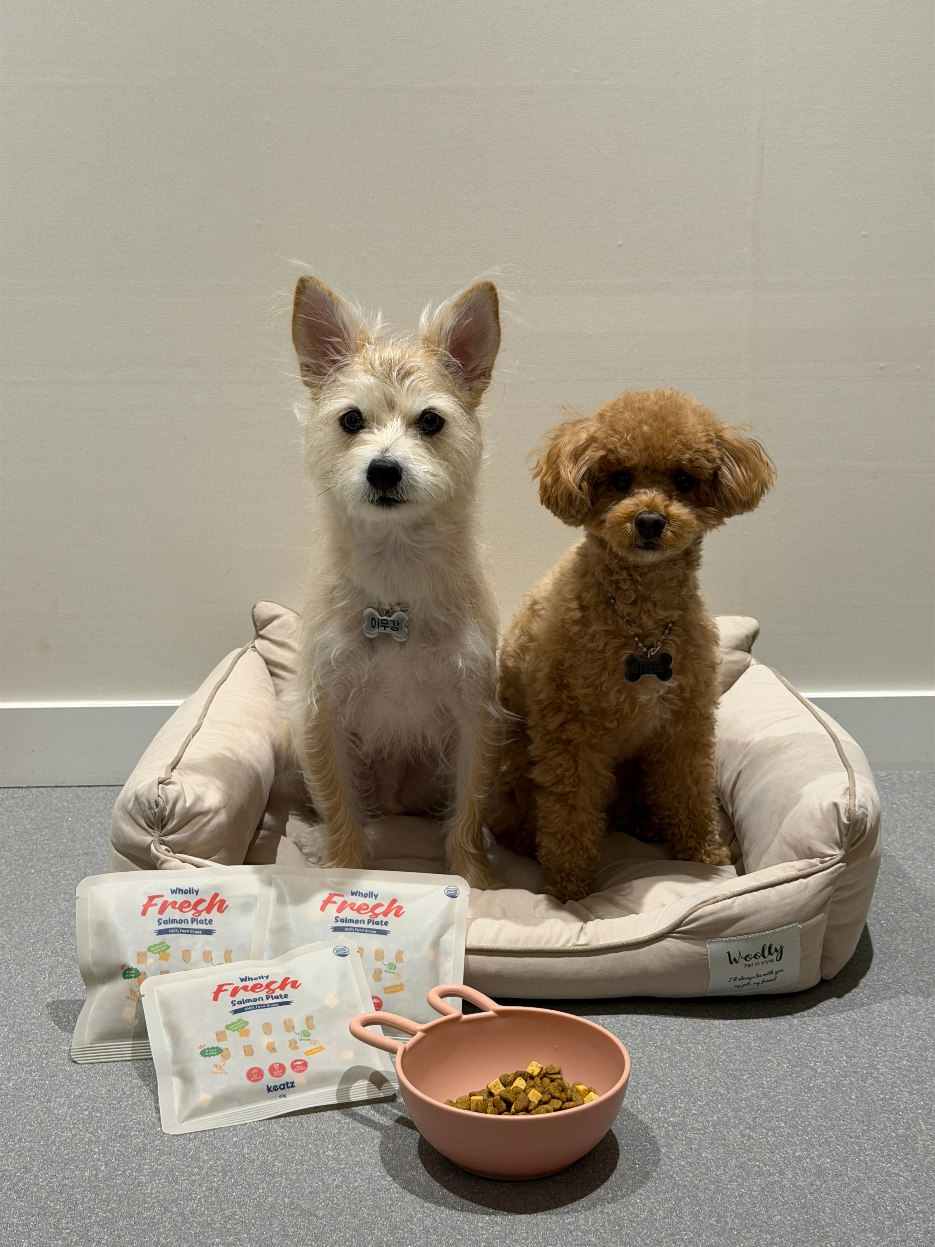 베스트 후기 이미지