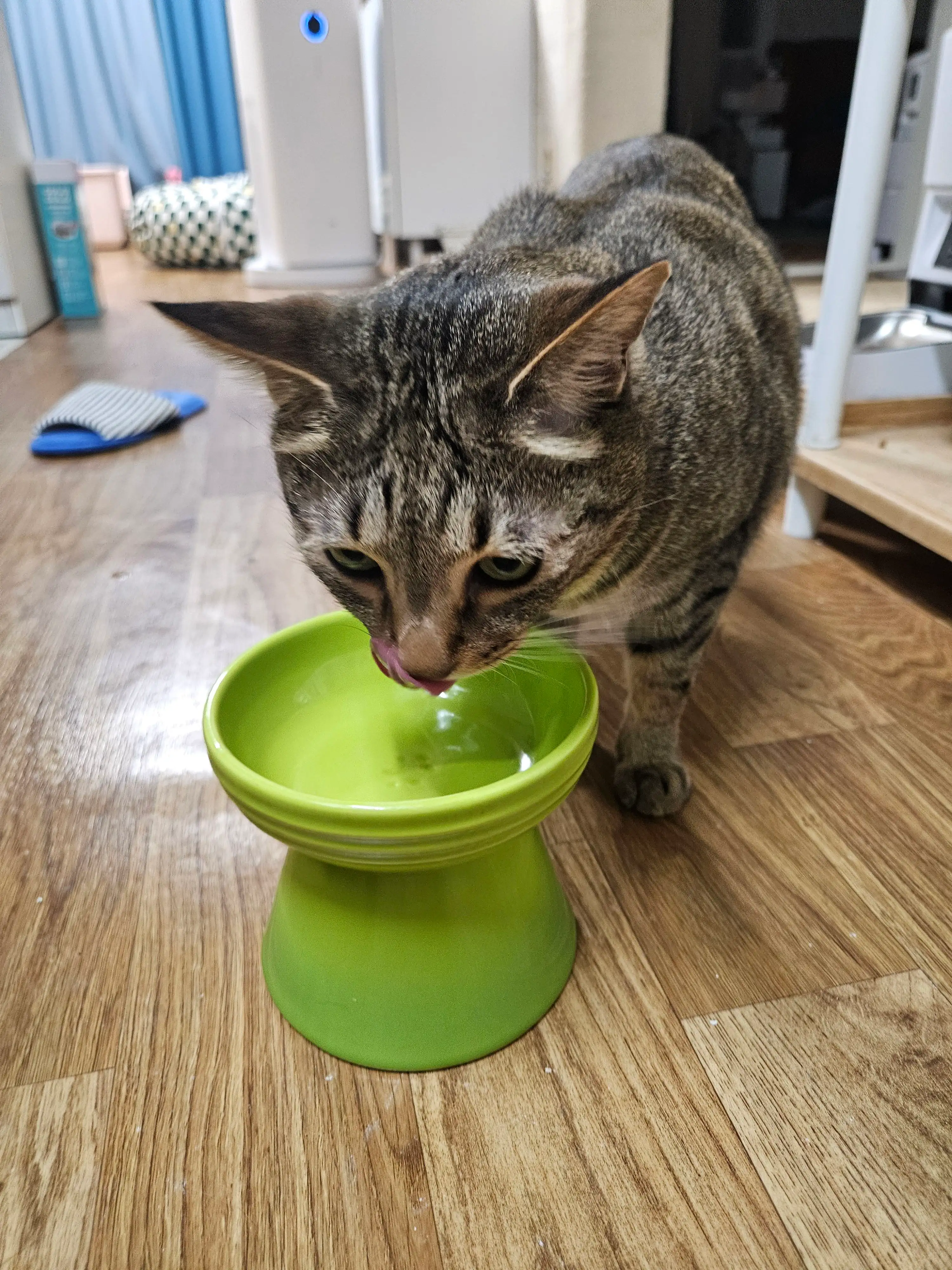 베스트 후기 이미지