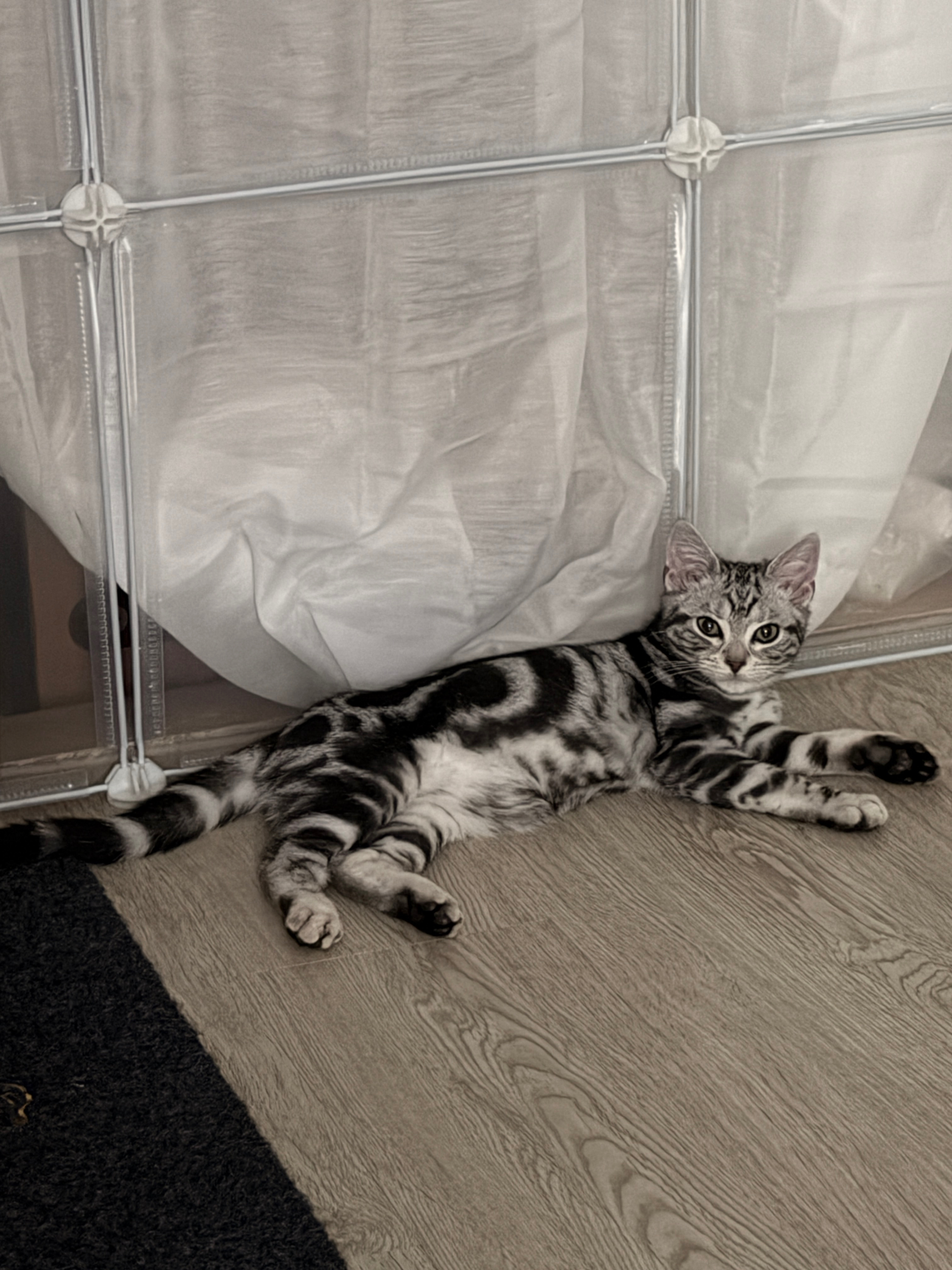 베스트 후기 이미지