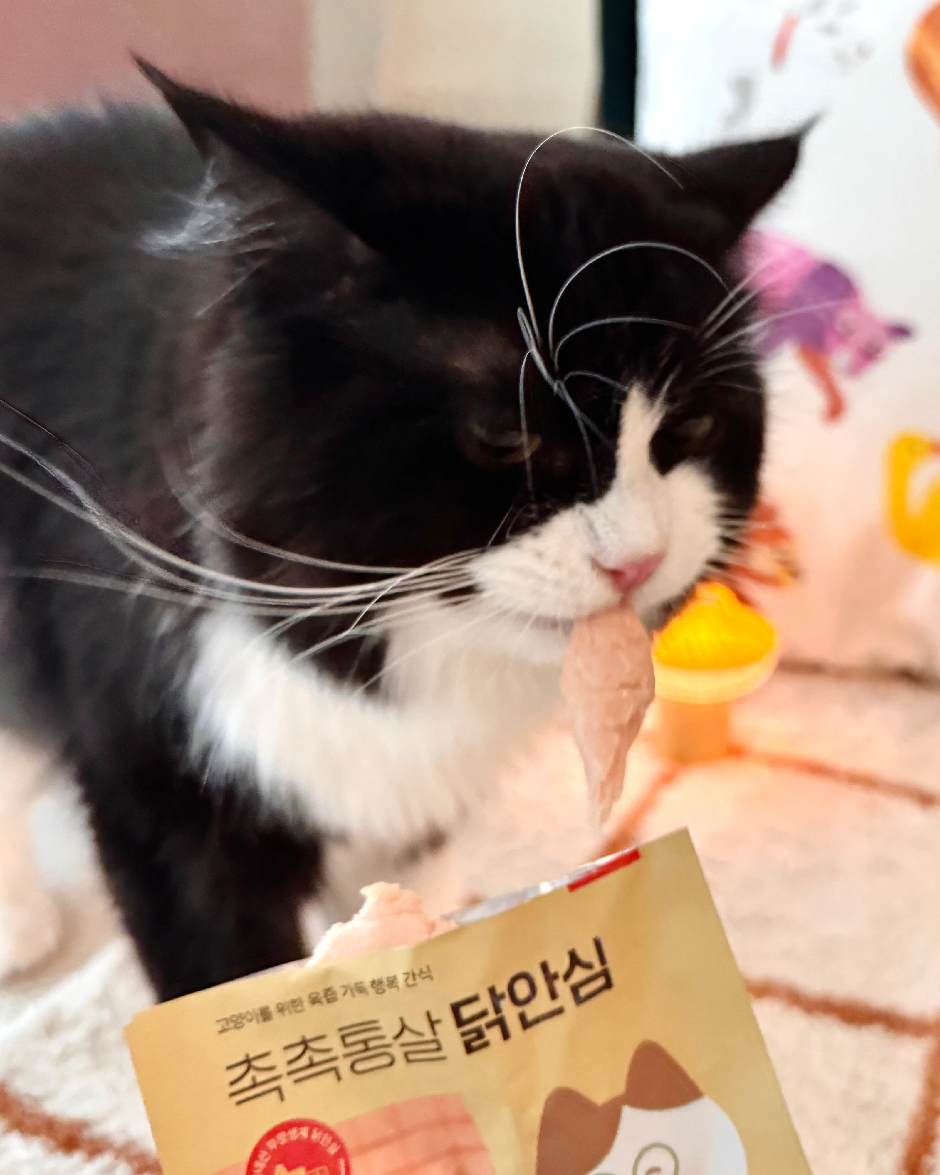 냥쌤 캣 레시피 육즙가득 촉촉한 통살 닭 안심 22g 베스트 후기 이미지