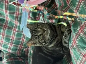 베스트 후기 이미지