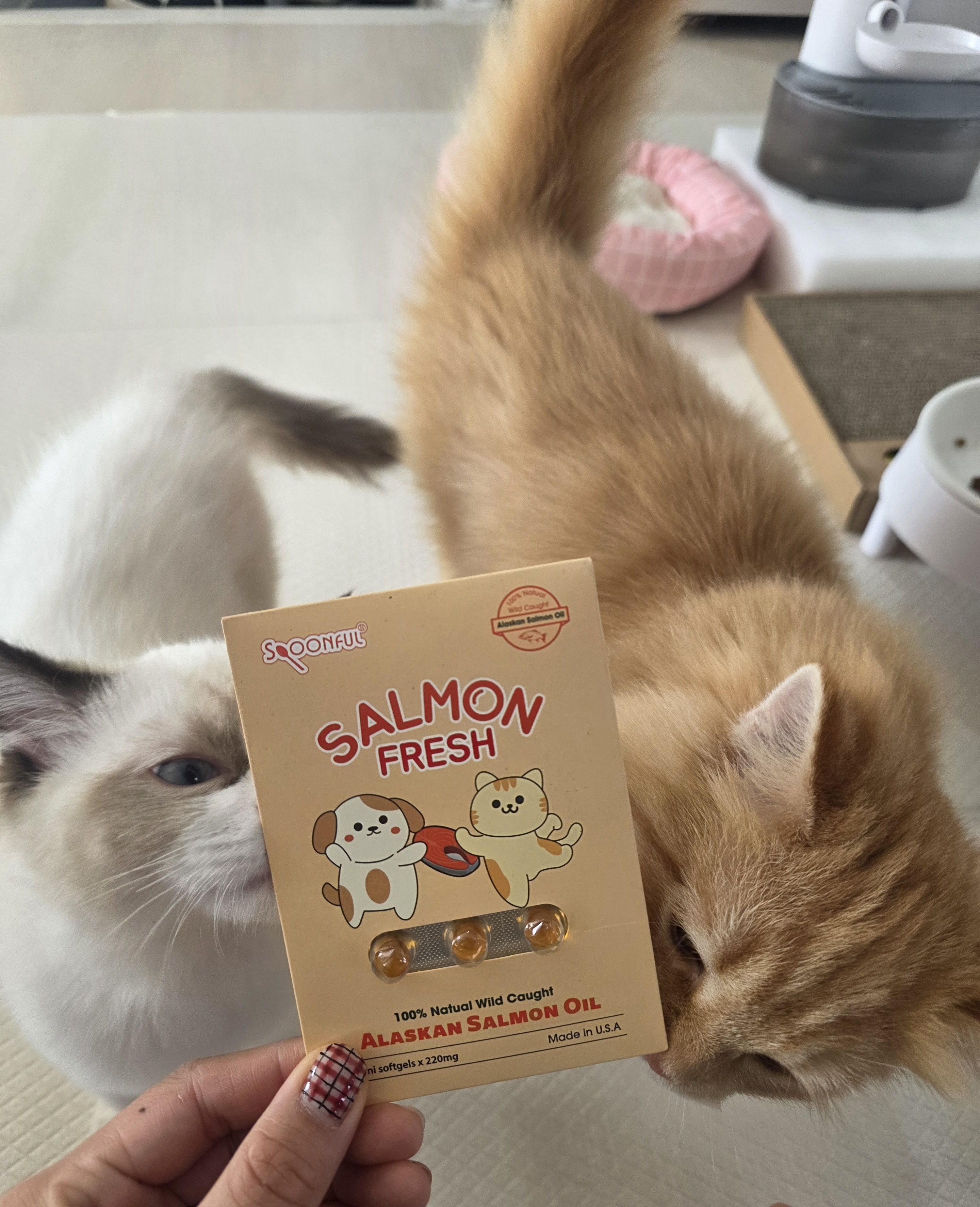 베스트 후기 이미지