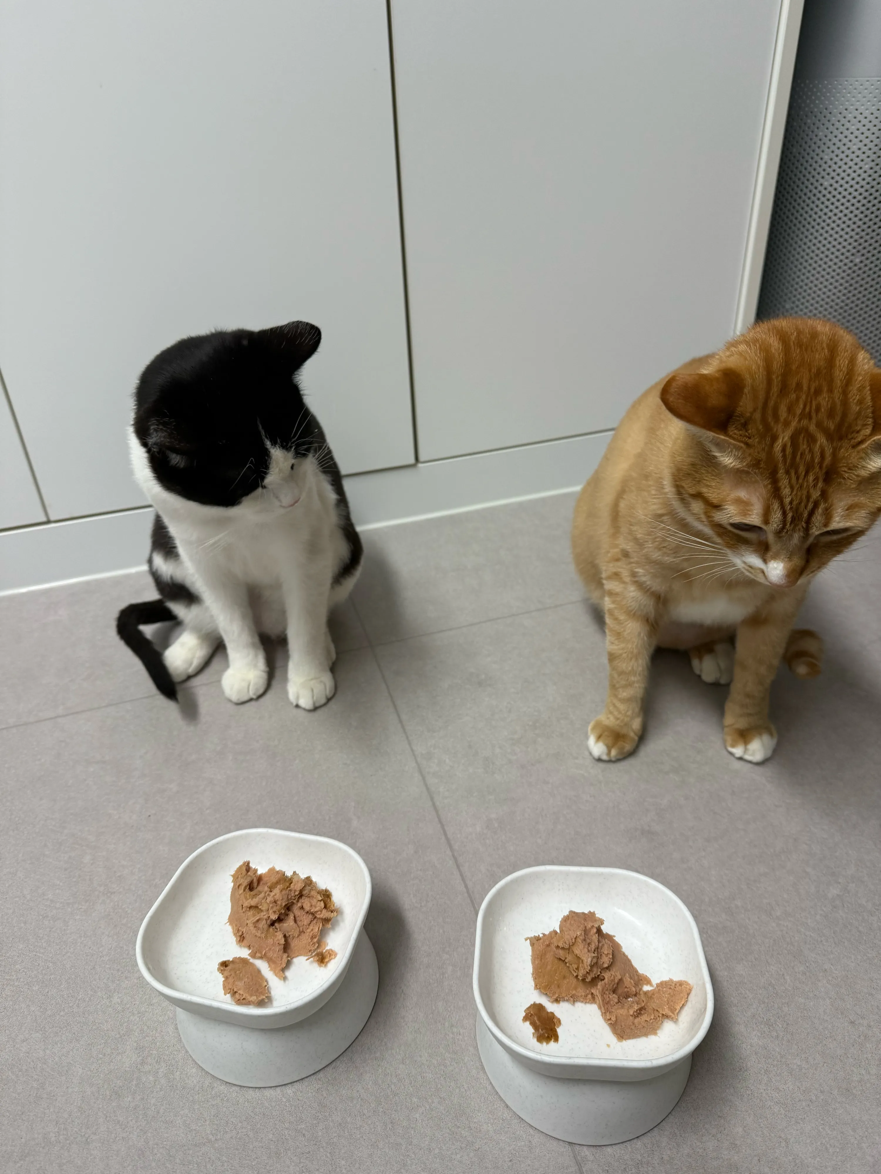 베스트 후기 이미지