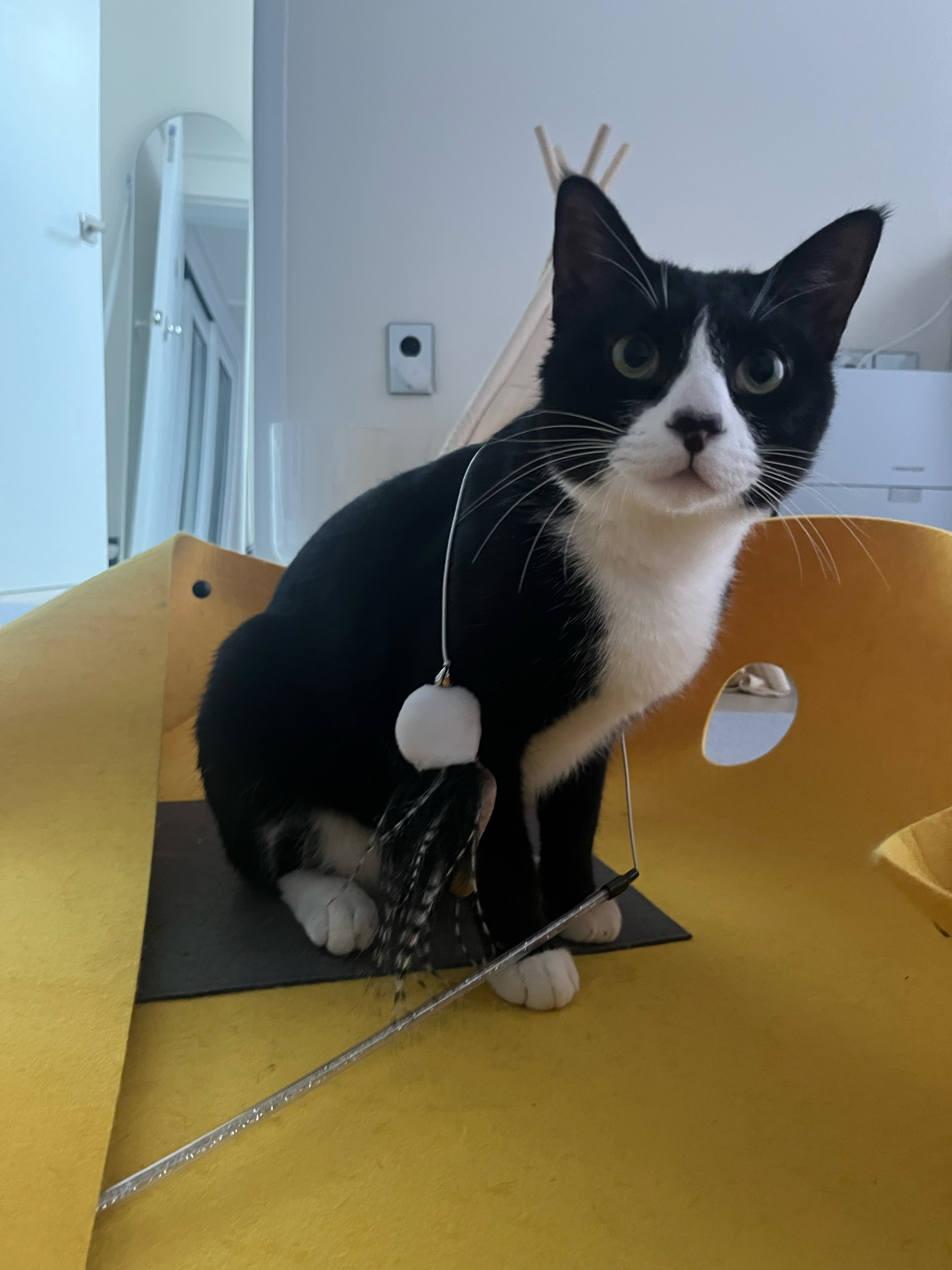 베스트 후기 이미지