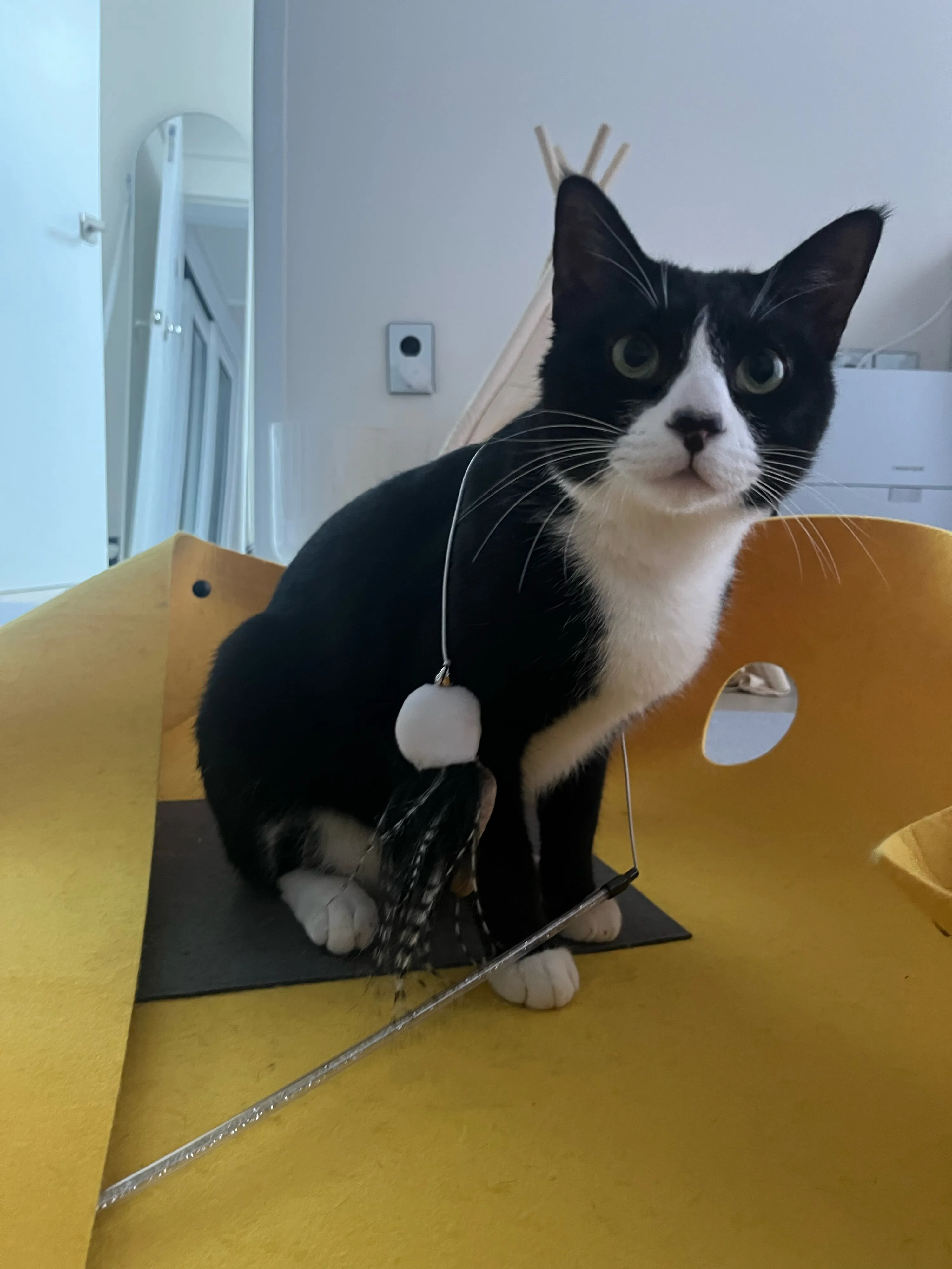 베스트 후기 이미지