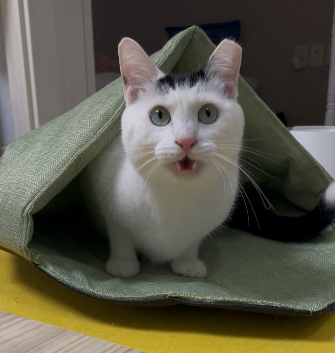 베스트 후기 이미지