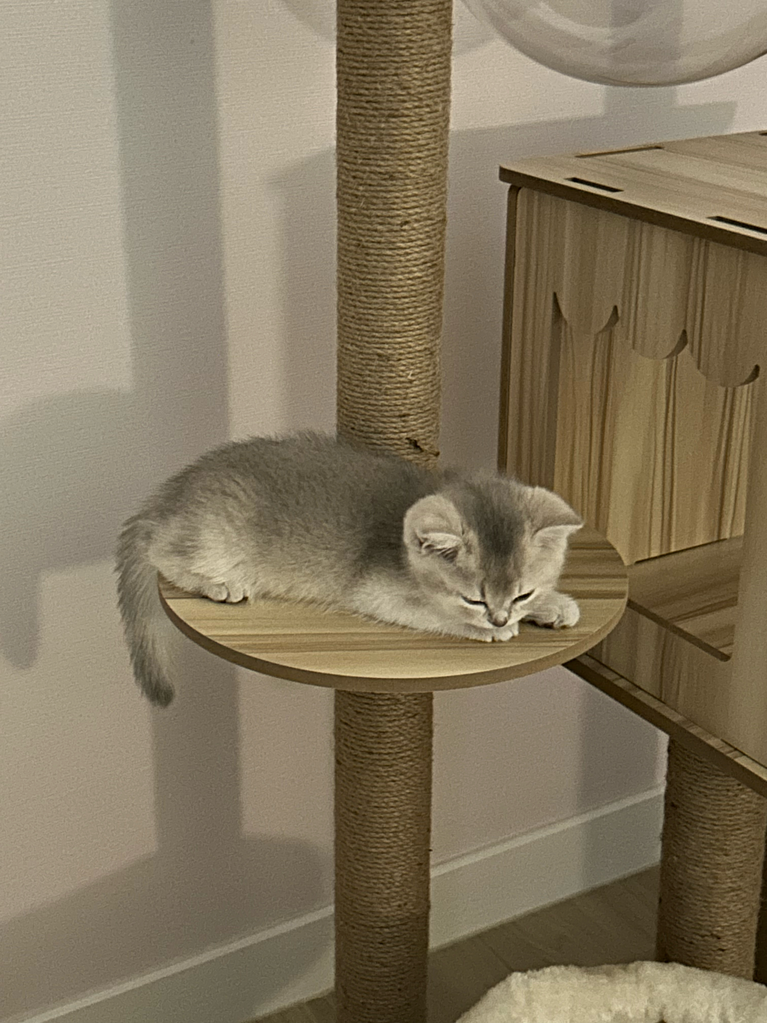 베스트 후기 이미지