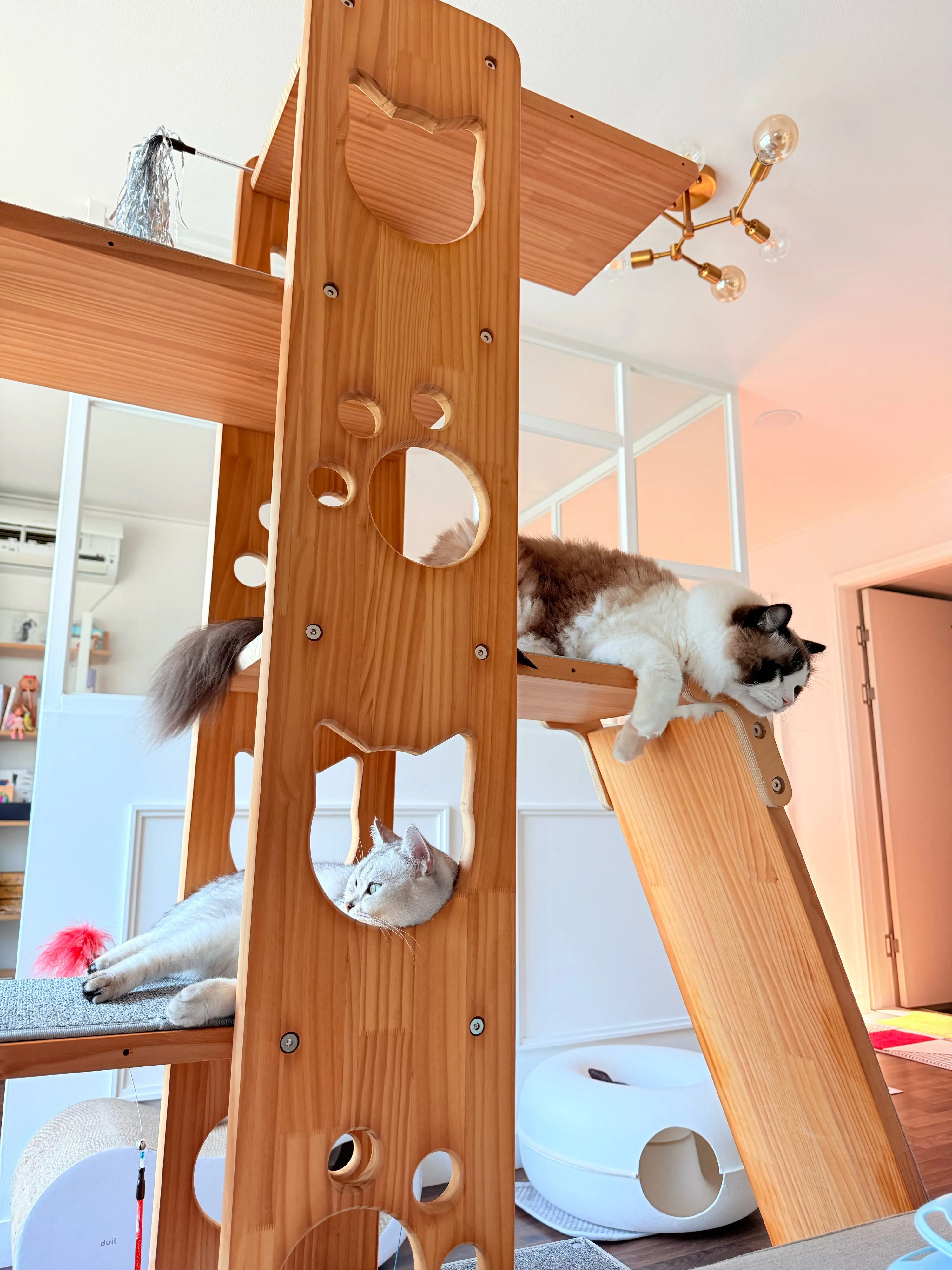 베스트 후기 이미지