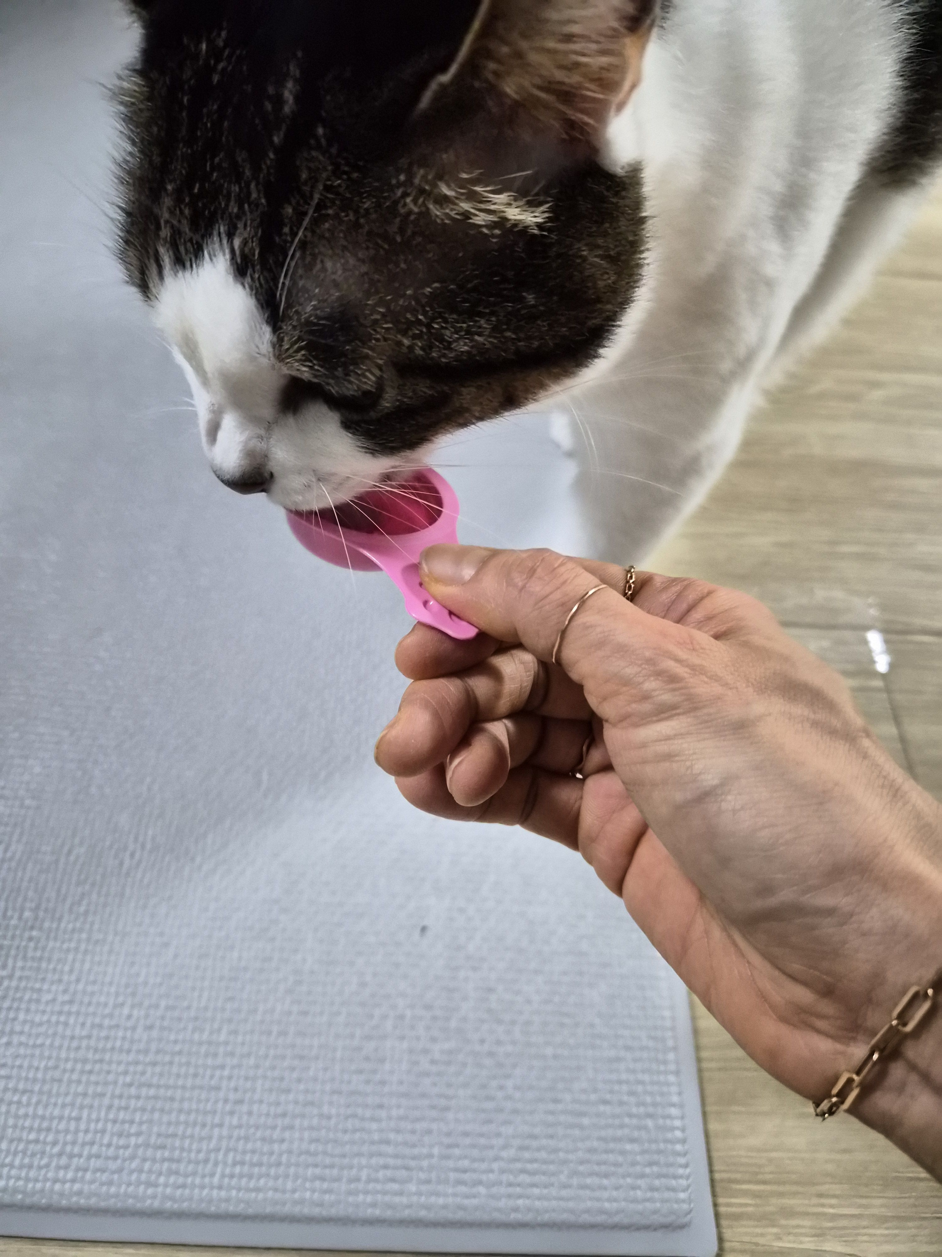 베스트 후기 이미지