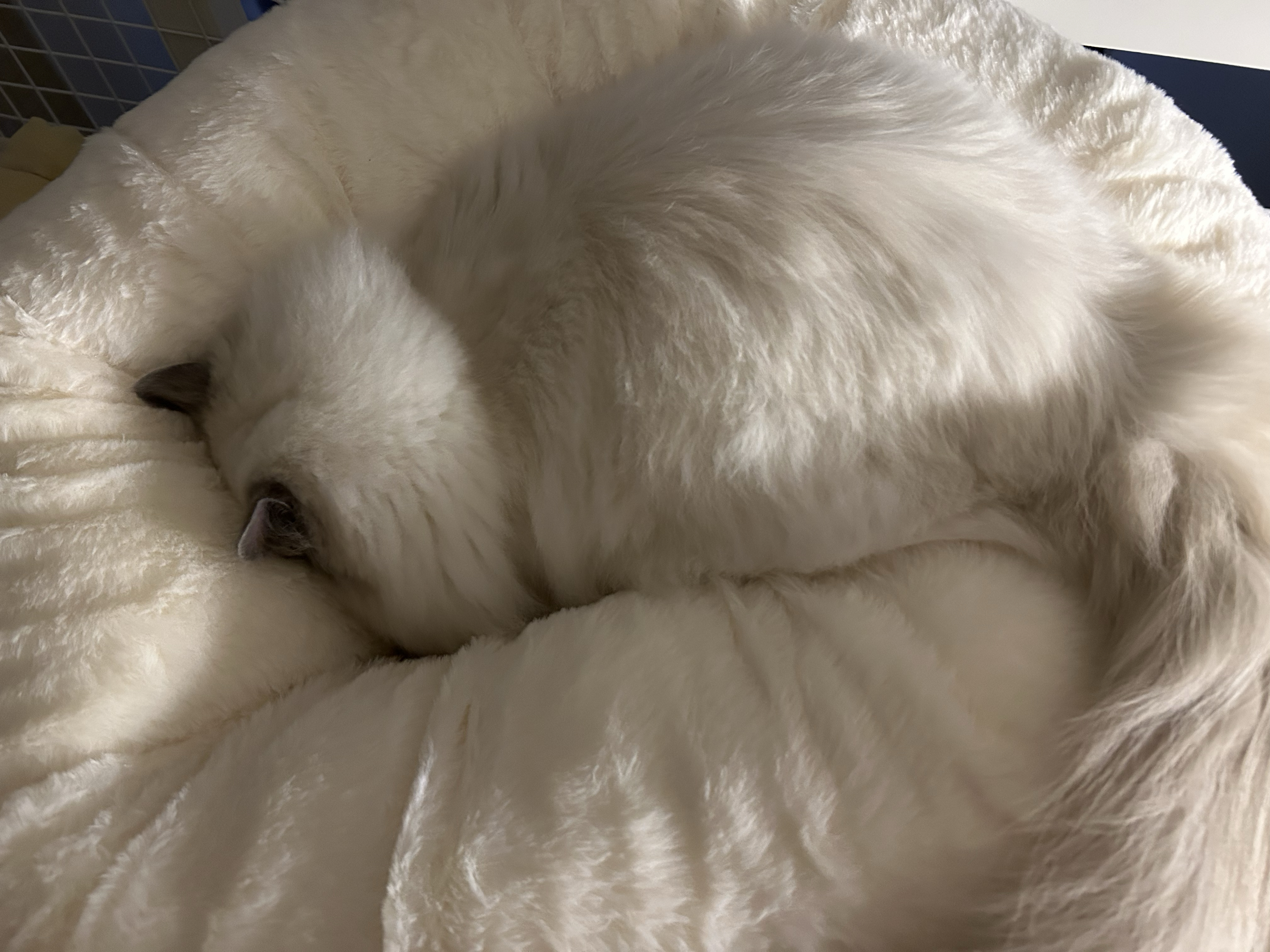 베스트 후기 이미지