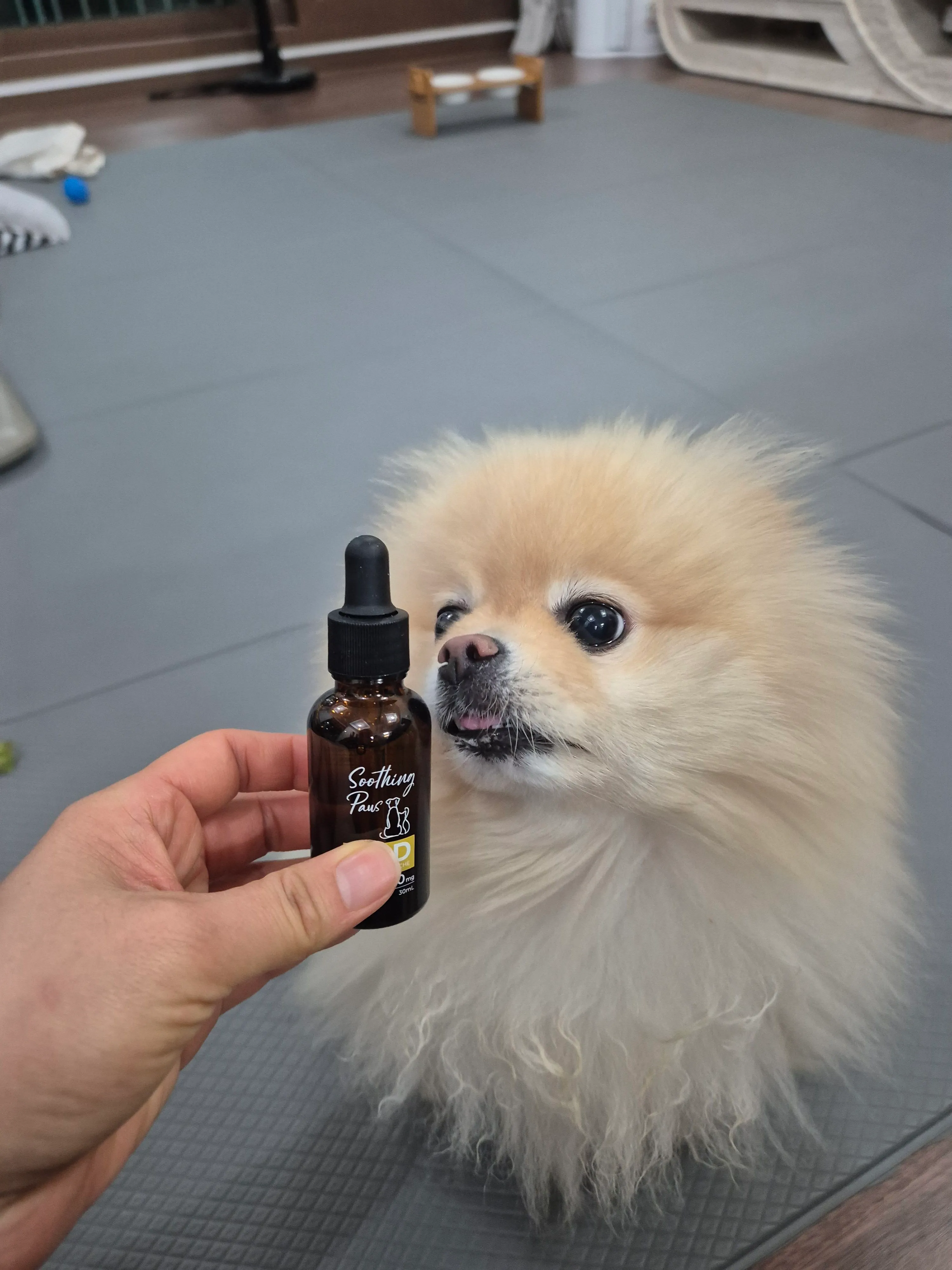 베스트 후기 이미지