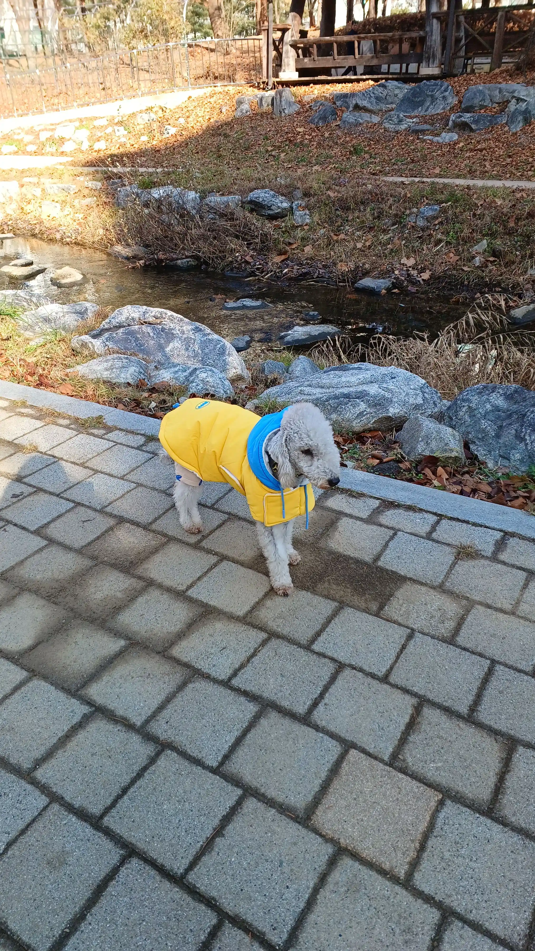 베스트 후기 이미지