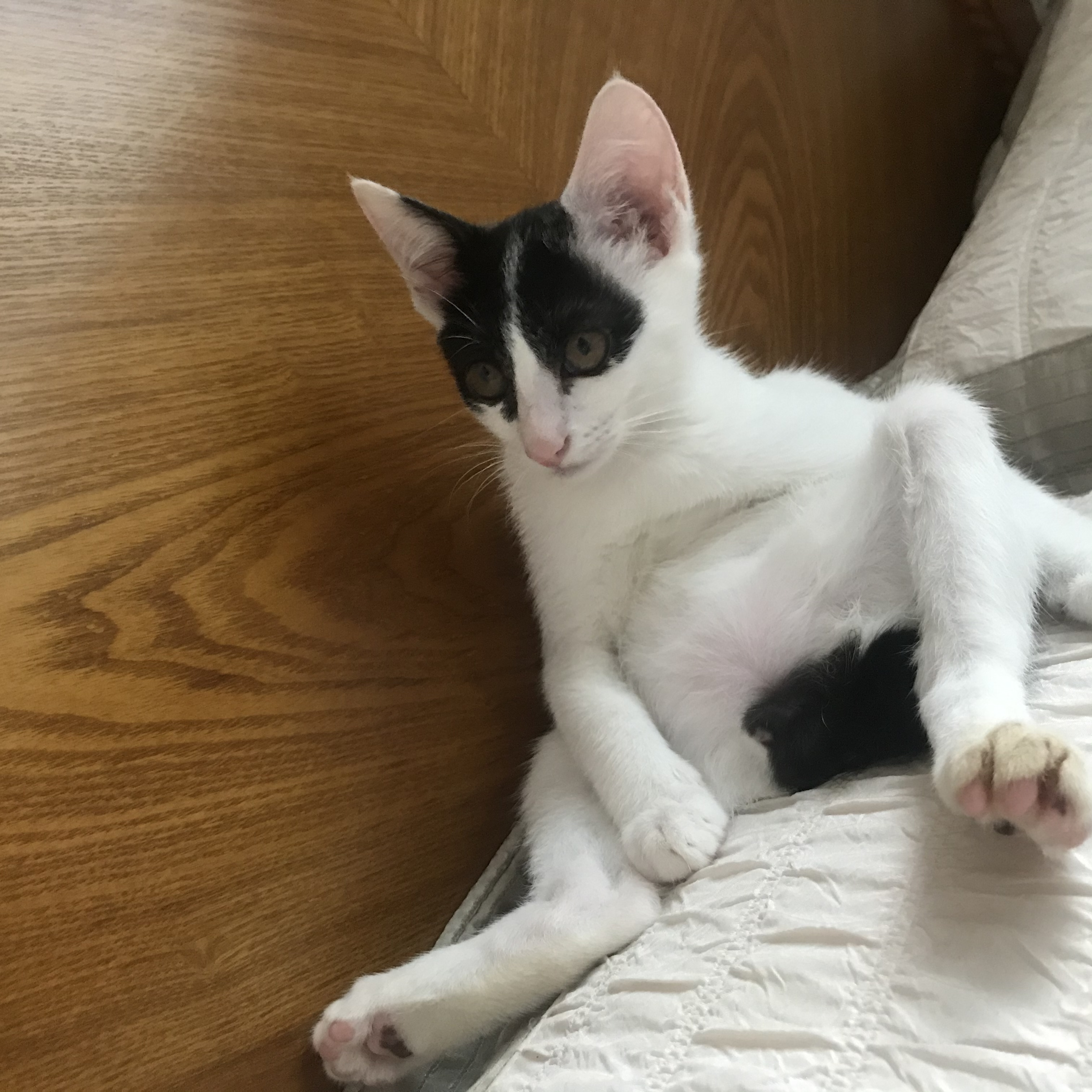 베스트 후기 이미지