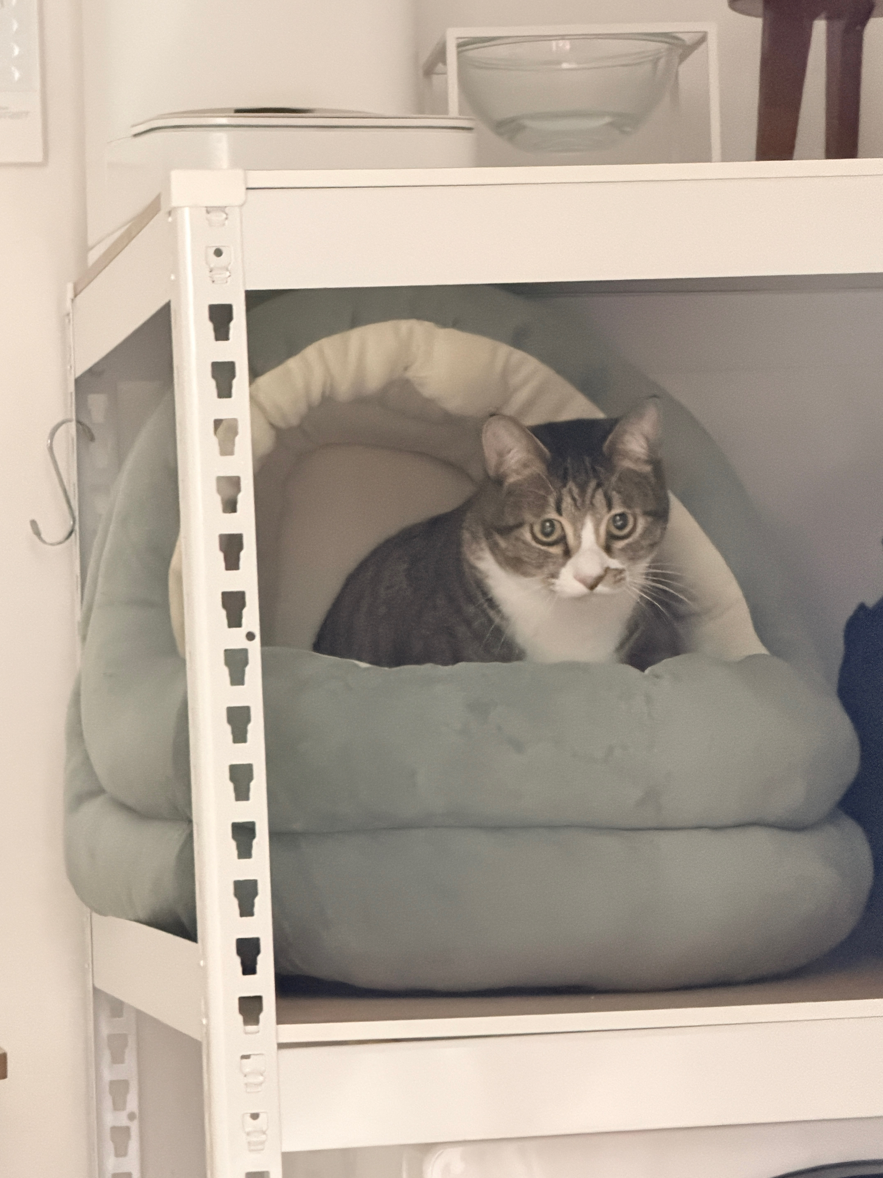 베스트 후기 이미지