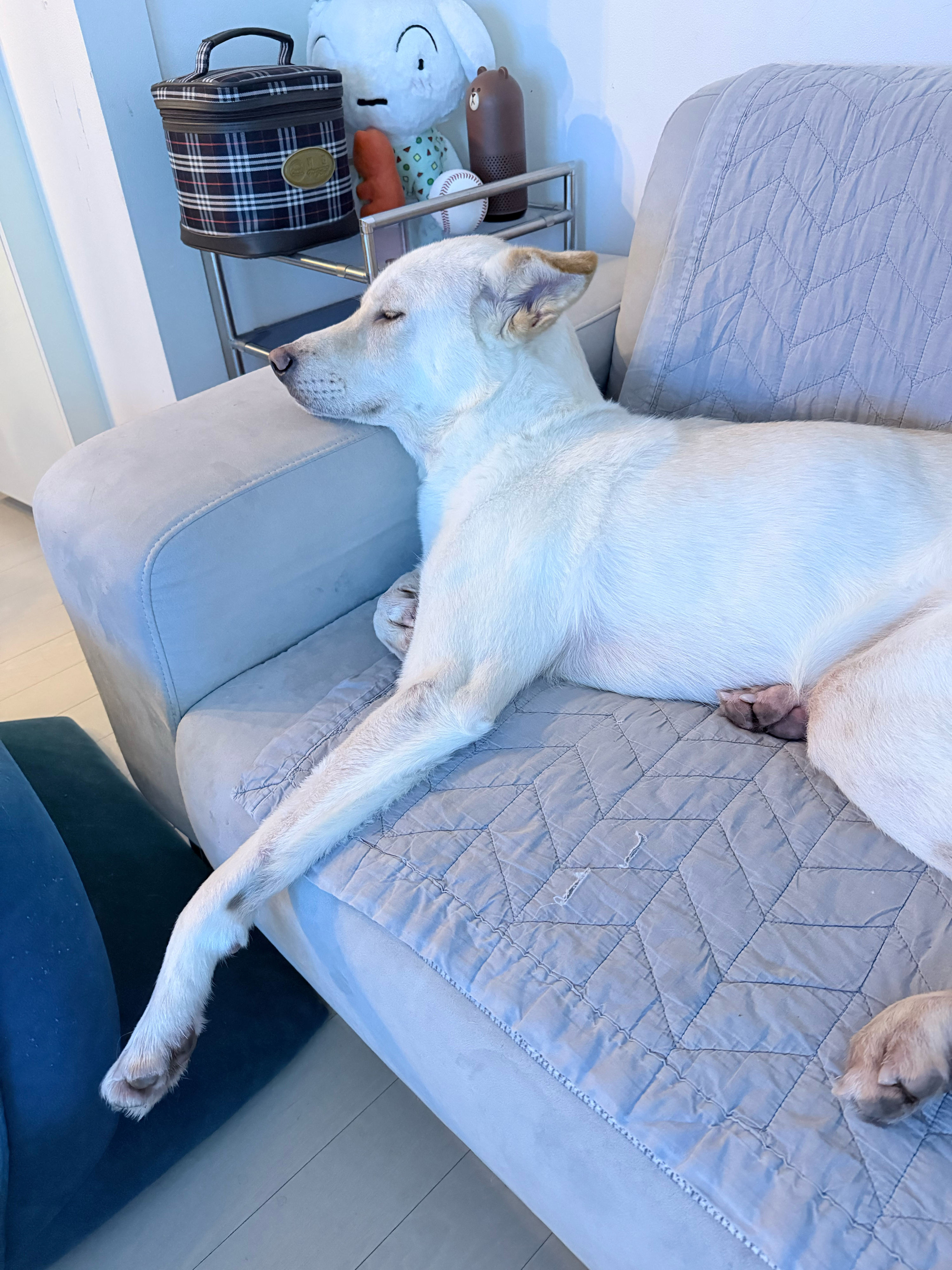 베스트 후기 이미지