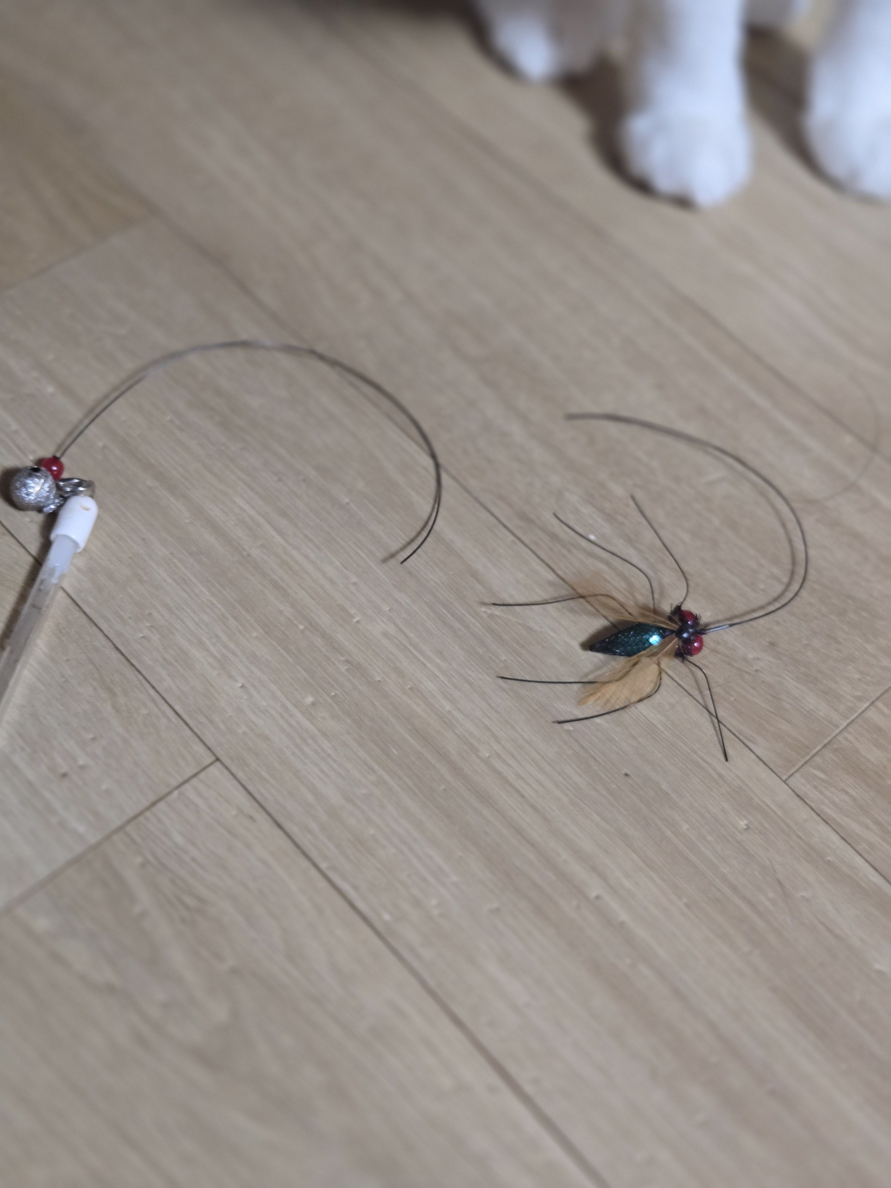 베스트 후기 이미지