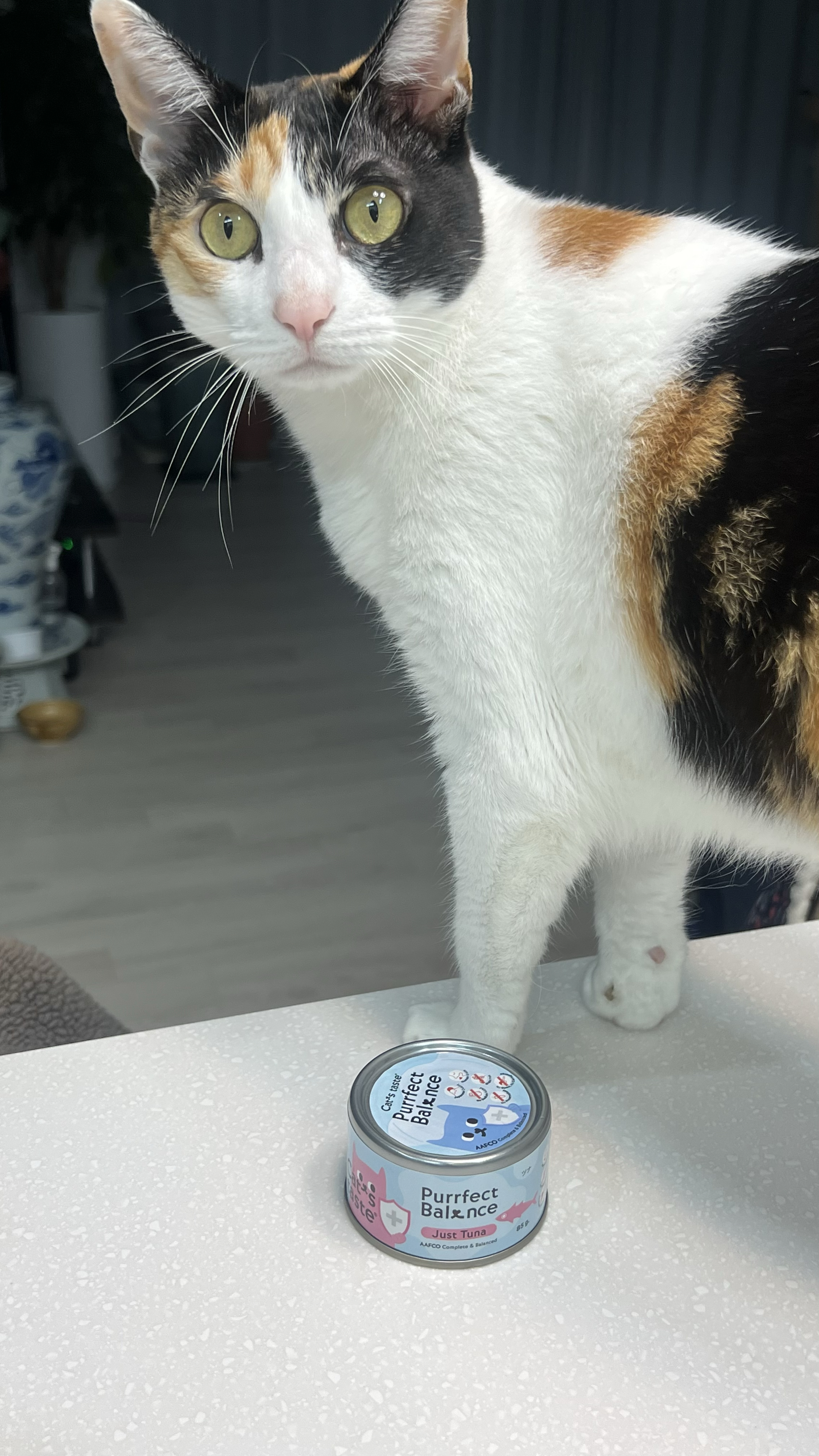 베스트 후기 이미지